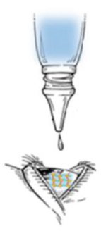 Gels 07 00130 i002 Gels 07 00130 i002