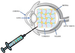 Gels 07 00130 i003 Gels 07 00130 i003