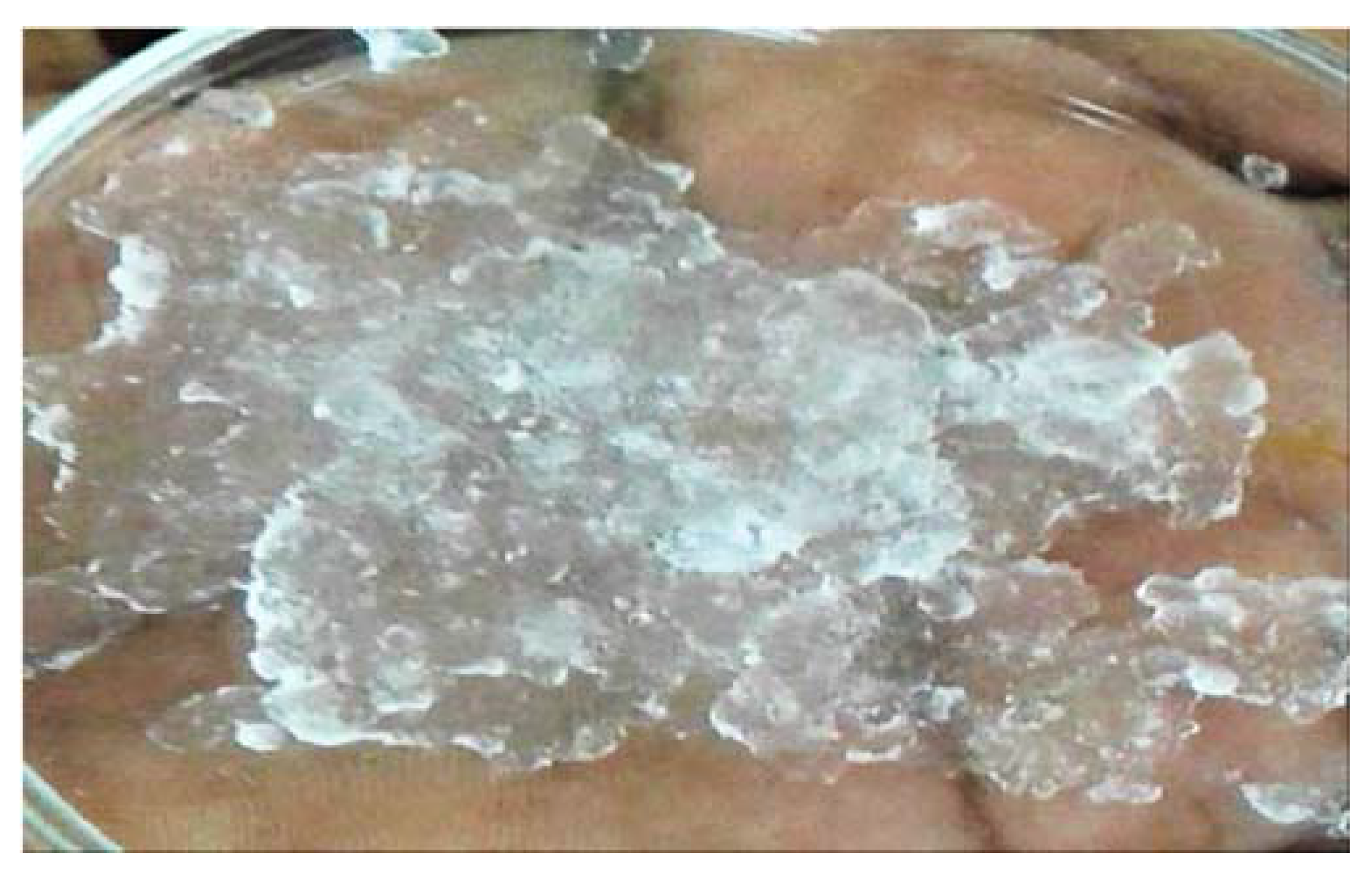 Gels 07 00236 g003