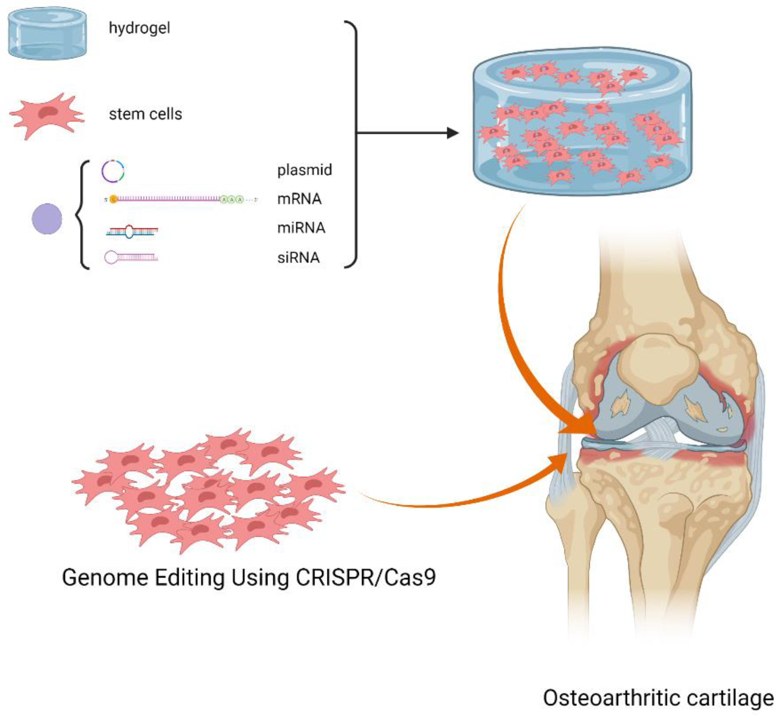 Gels Free Full Text Enhancing Stem Cell Therapy For Cartilage