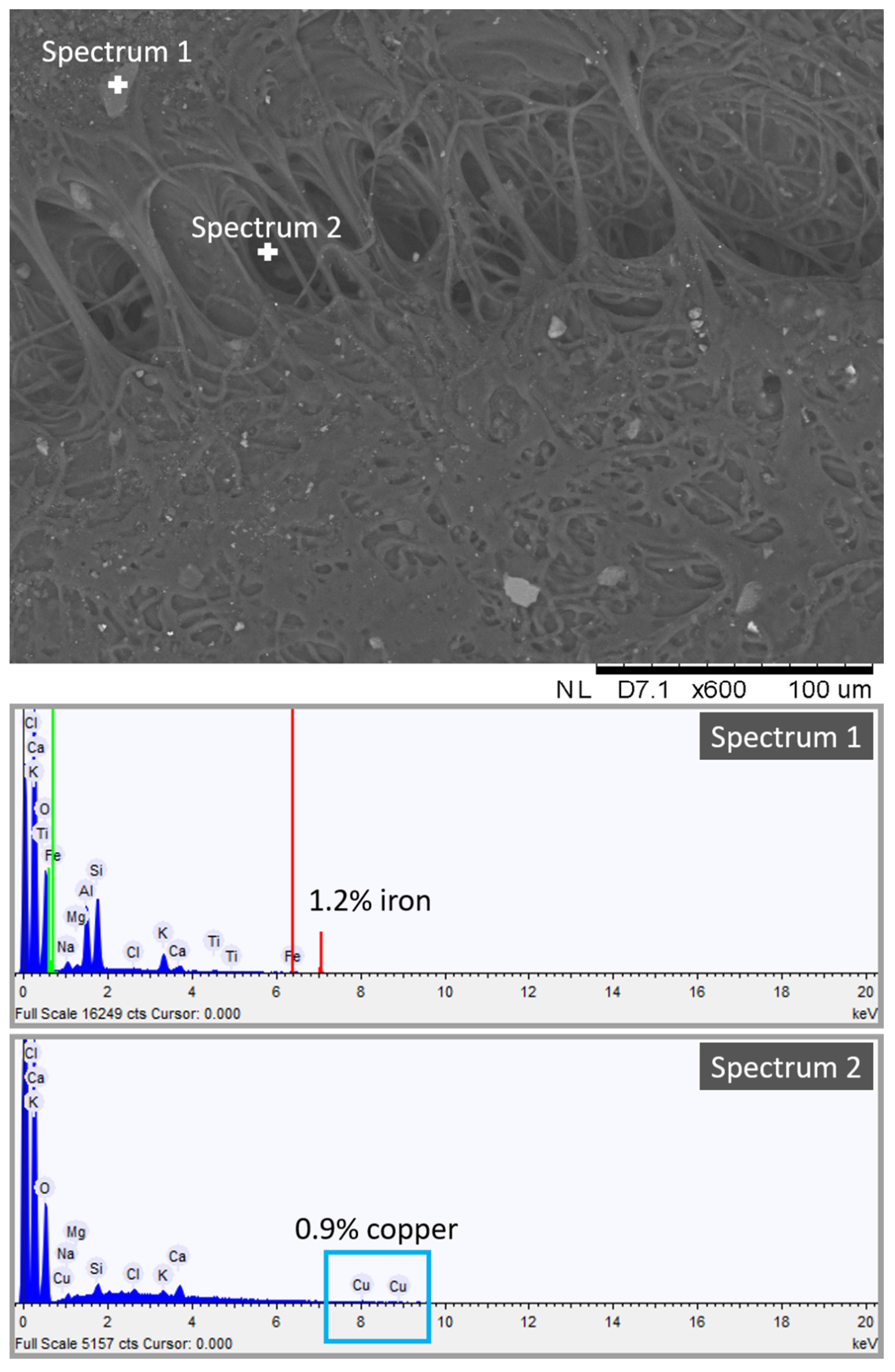 Gels 07 00265 g007 Gels 07 00265 g007