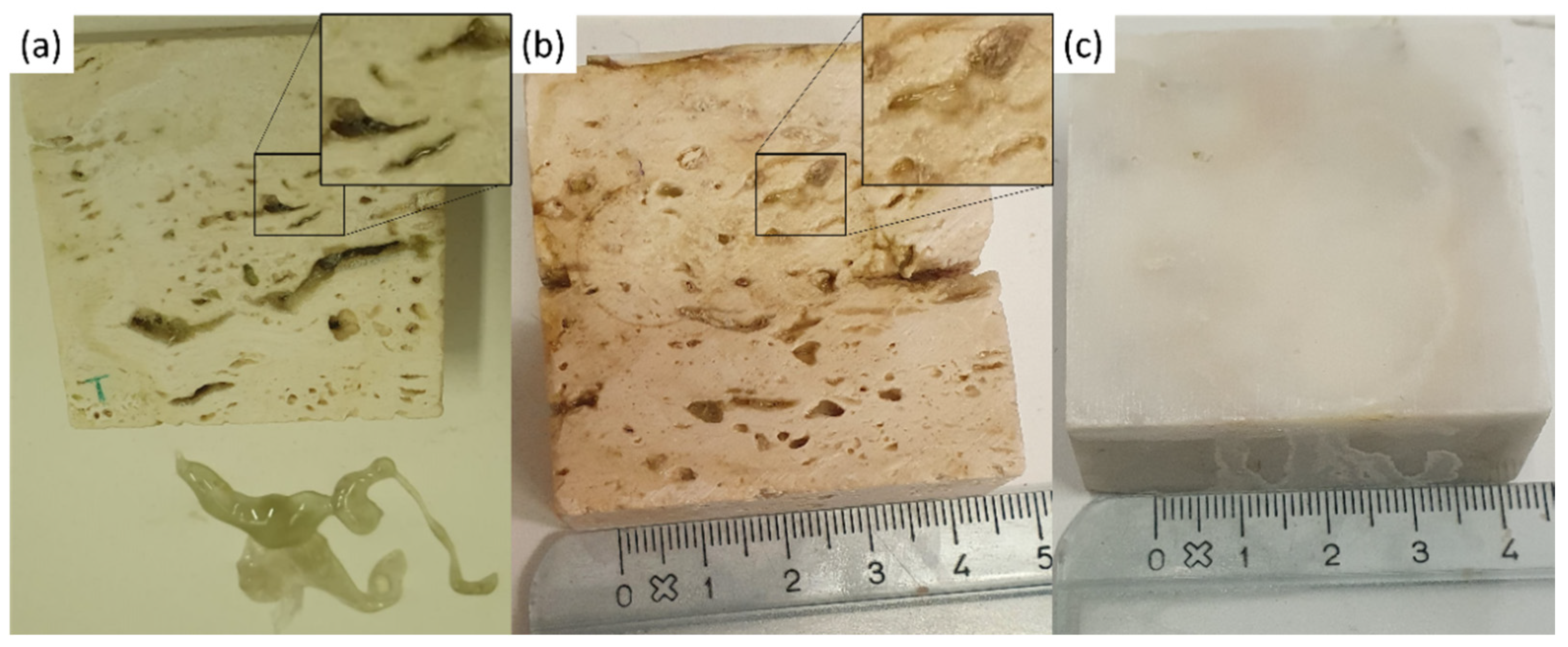 Gels 07 00265 g011 Gels 07 00265 g011