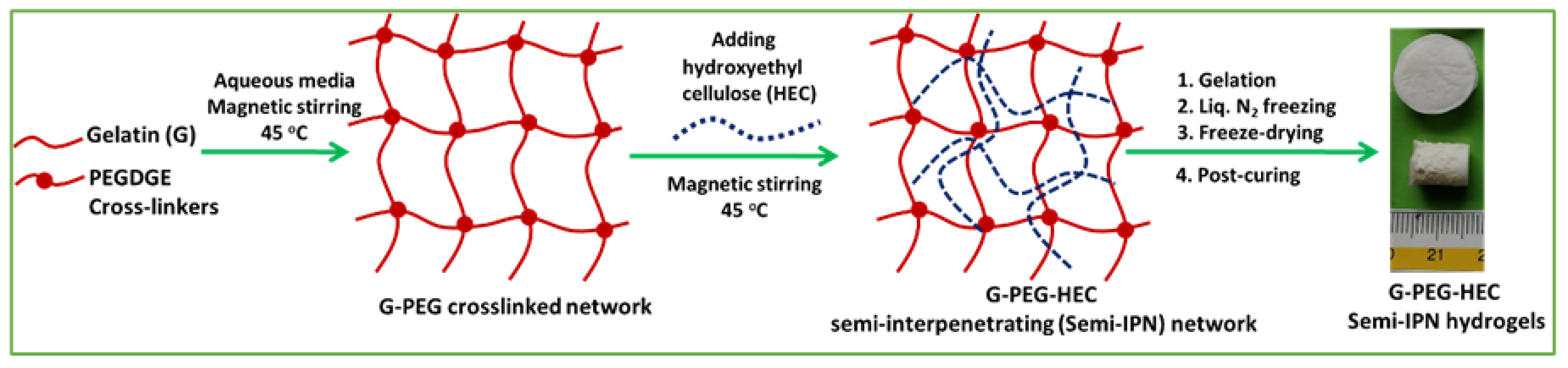 Gels 07 00277 sch001