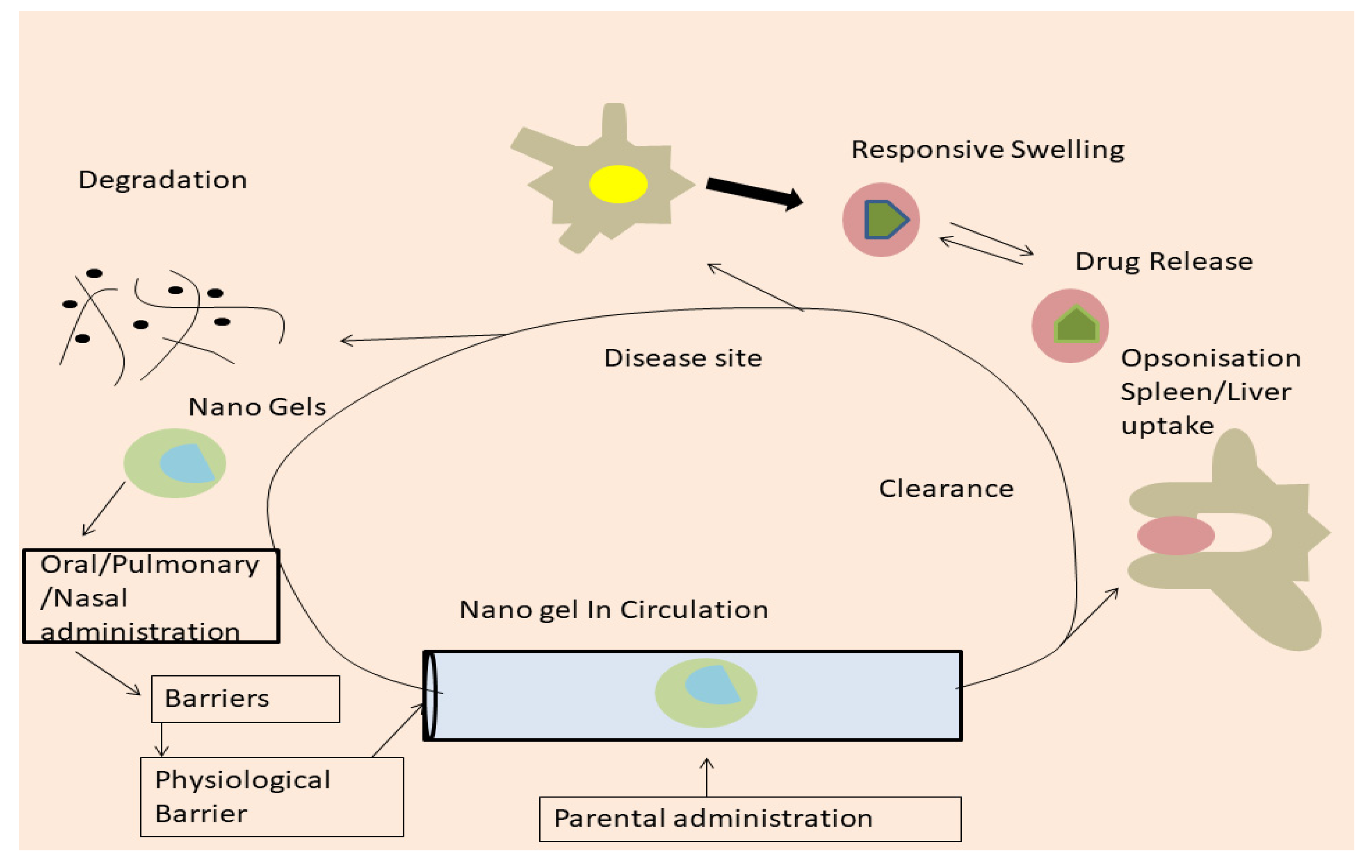 Gels 08 00097 g002 Gels 08 00097 g002
