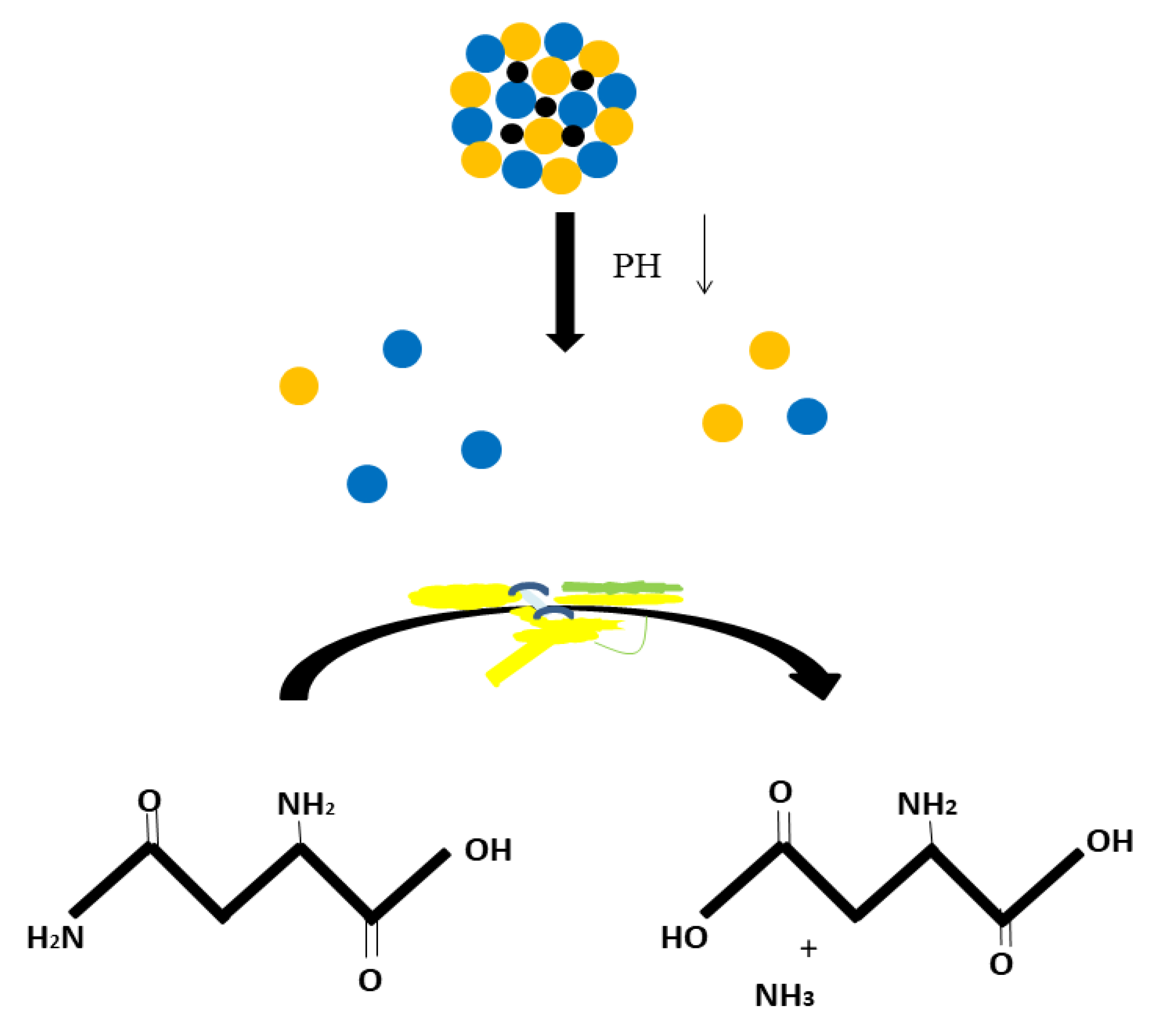 Gels 08 00097 g003 Gels 08 00097 g003