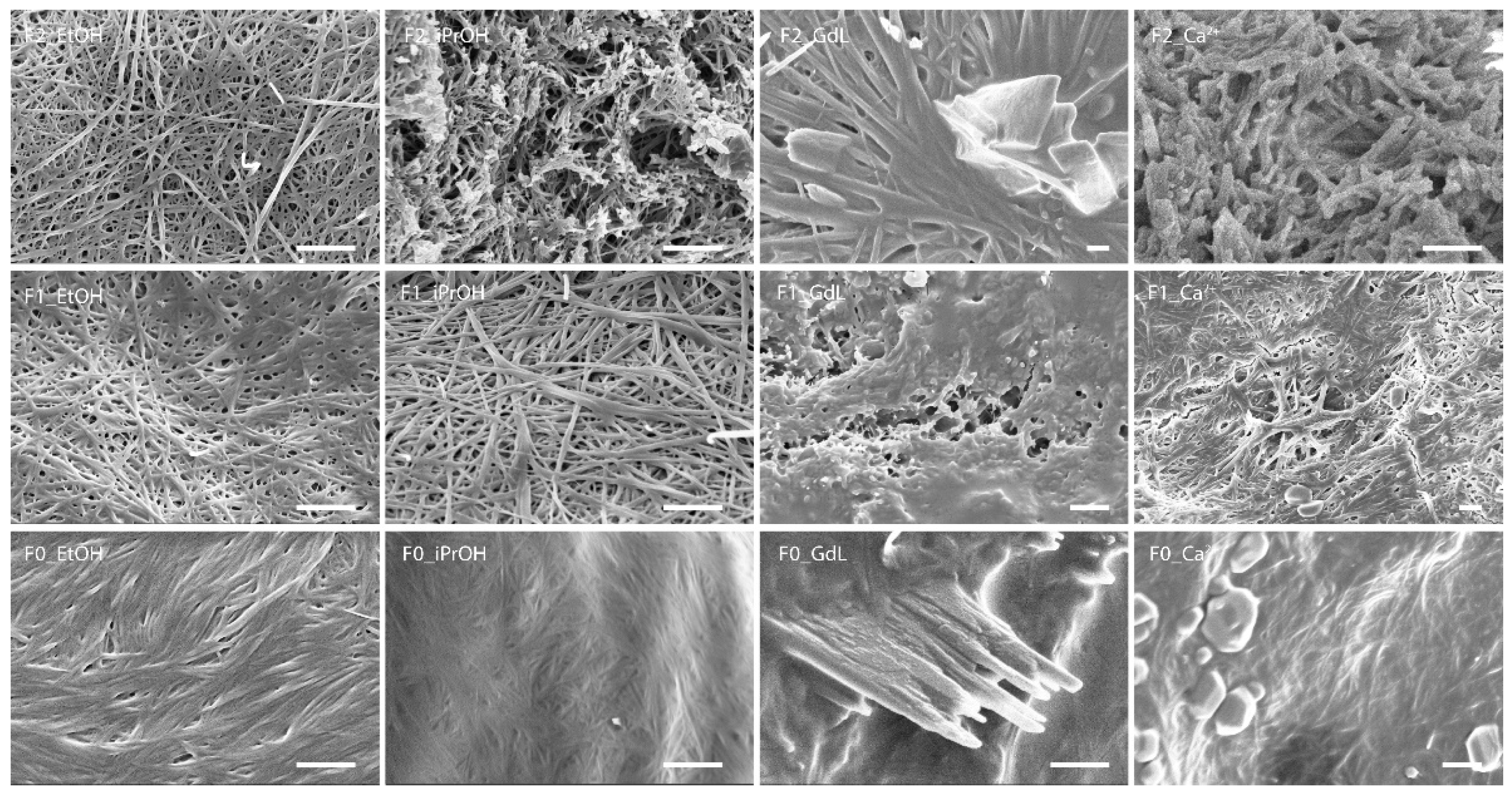 Gels 08 00098 g004