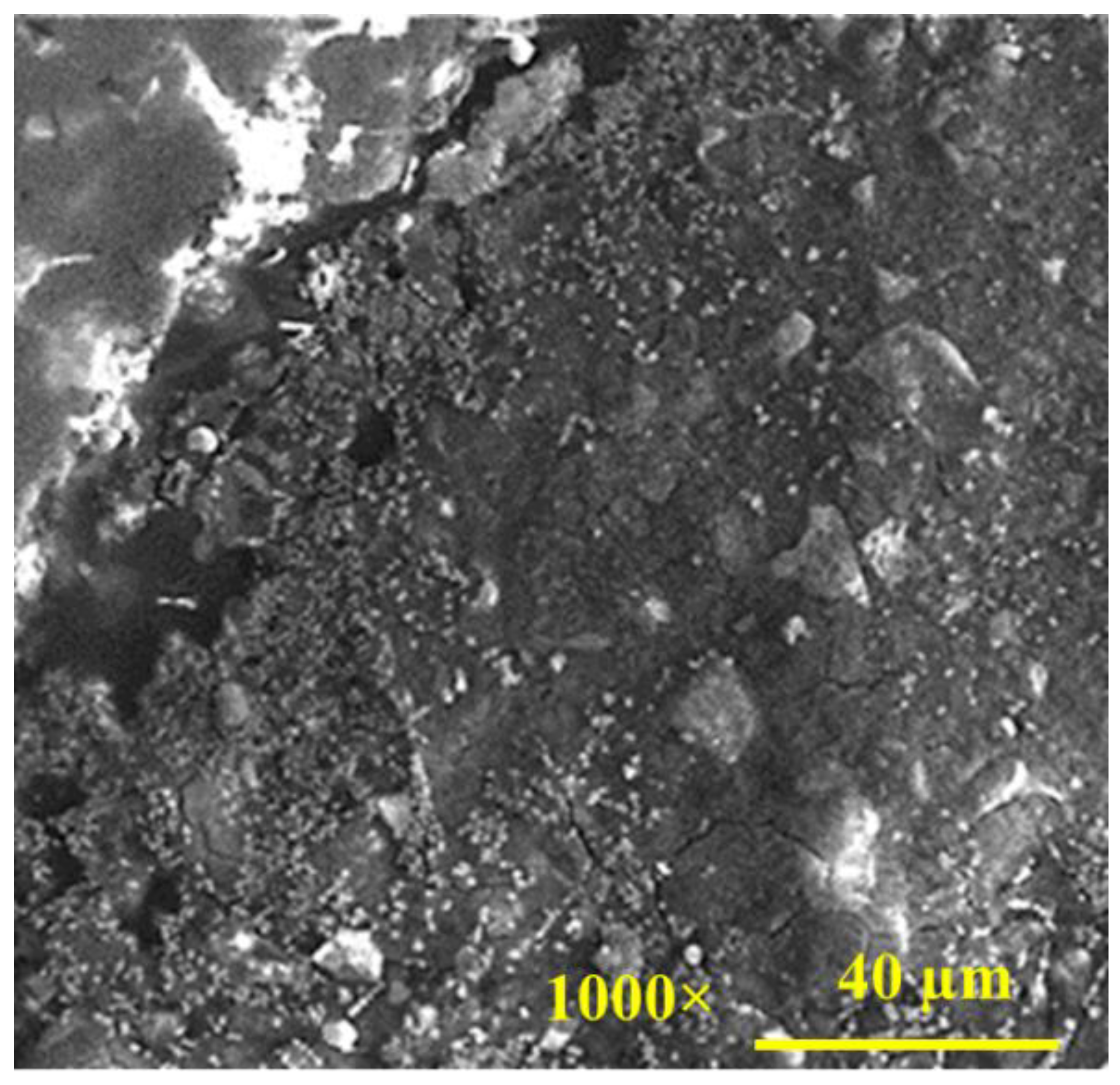 Gels 08 00105 g003 Gels 08 00105 g003