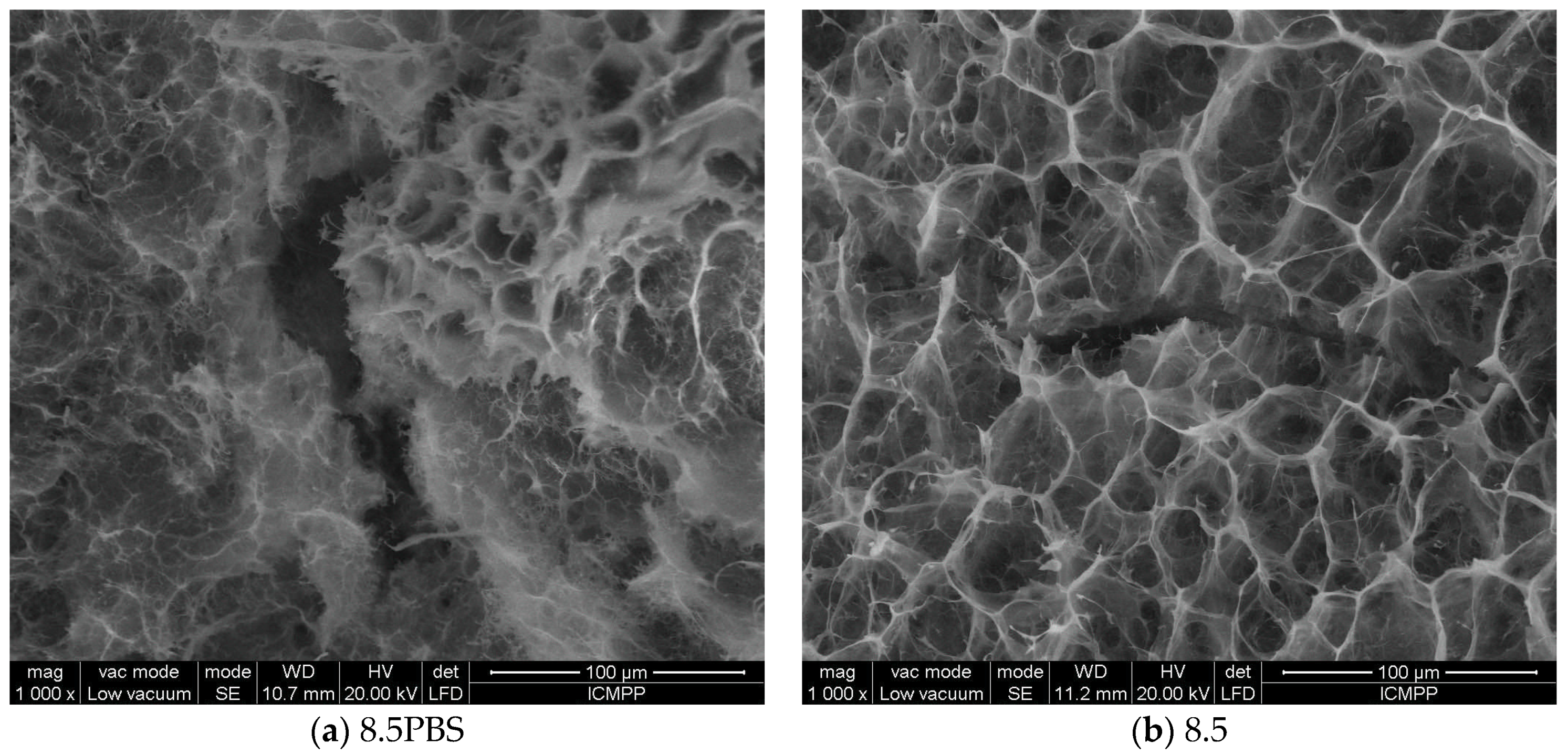 Gels 08 00107 g007a