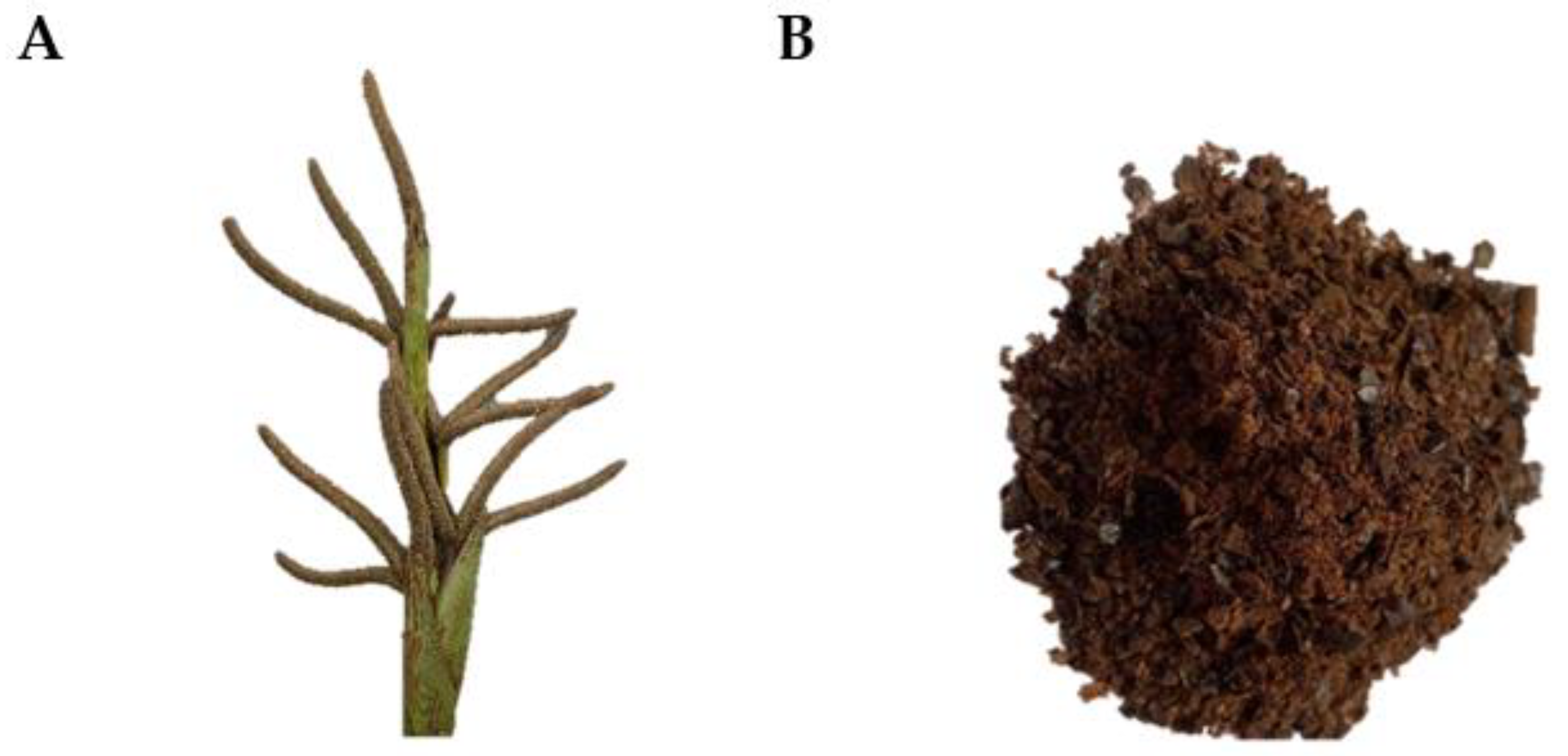 Gels 08 00126 g011 Gels 08 00126 g011