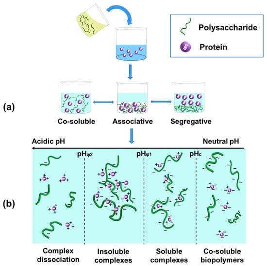 Multilayer emulsions stabilized by vegetable proteins and polysaccharides -  ScienceDirect