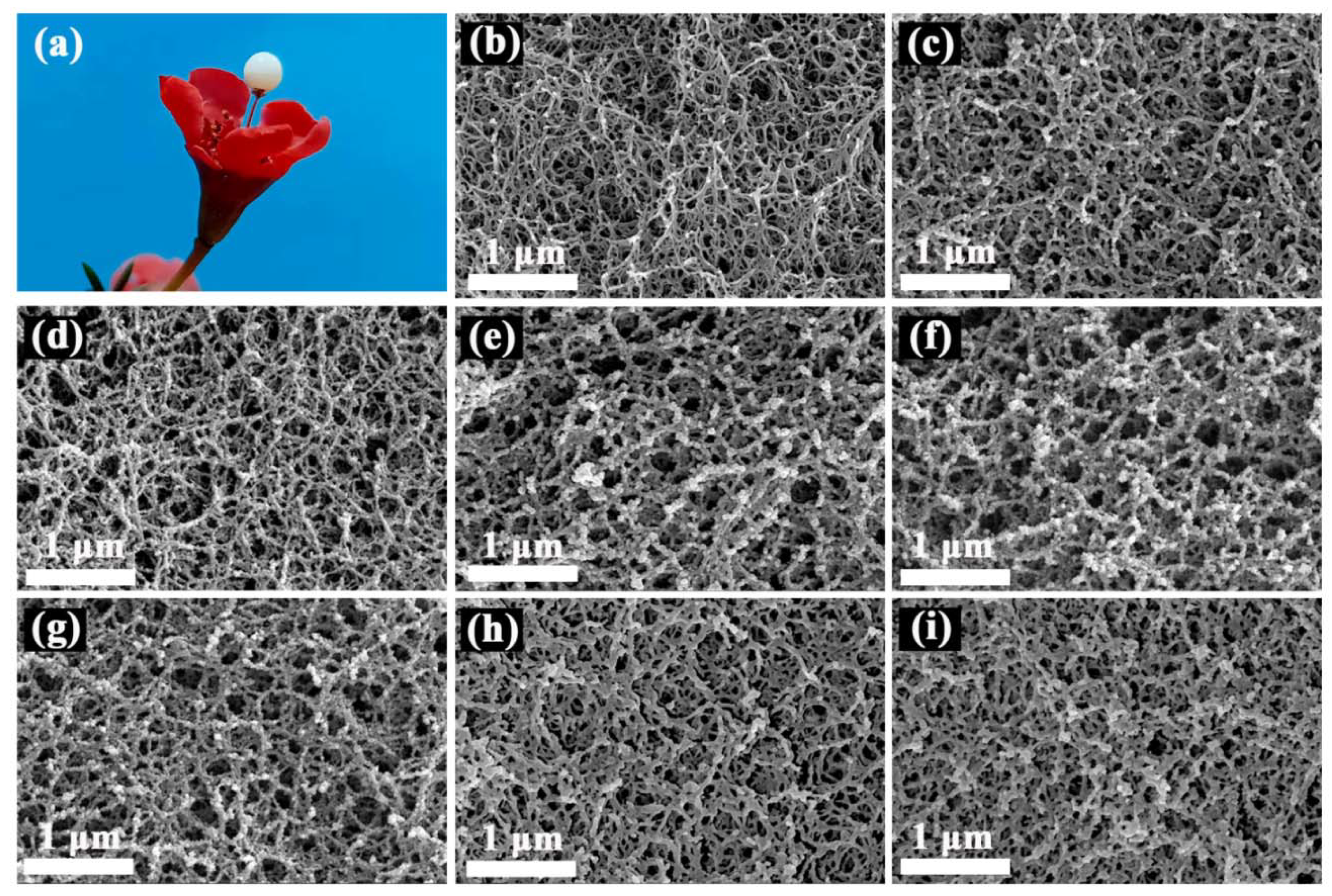 Gels 08 00165 g003