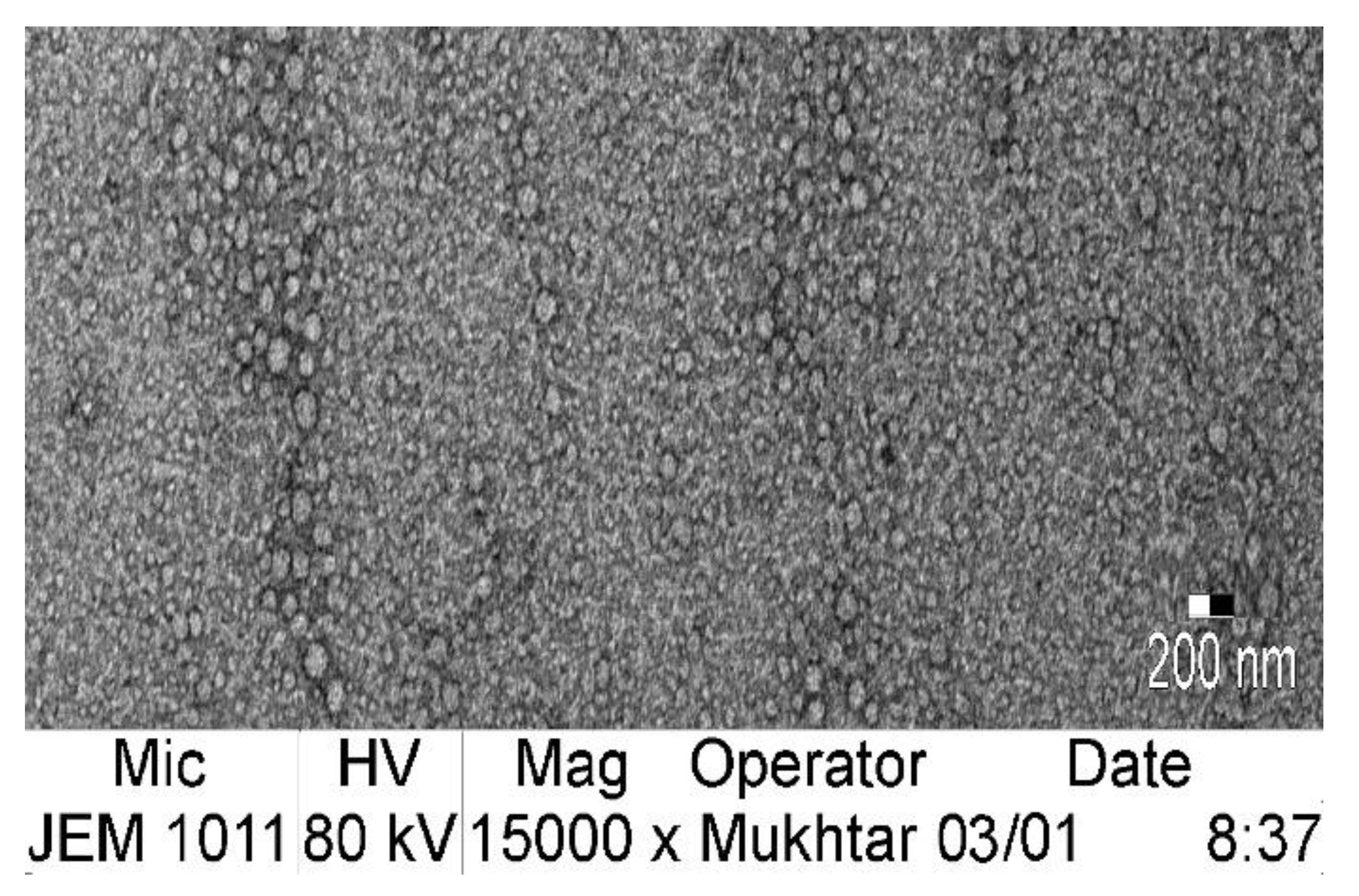 Gels 08 00176 g008