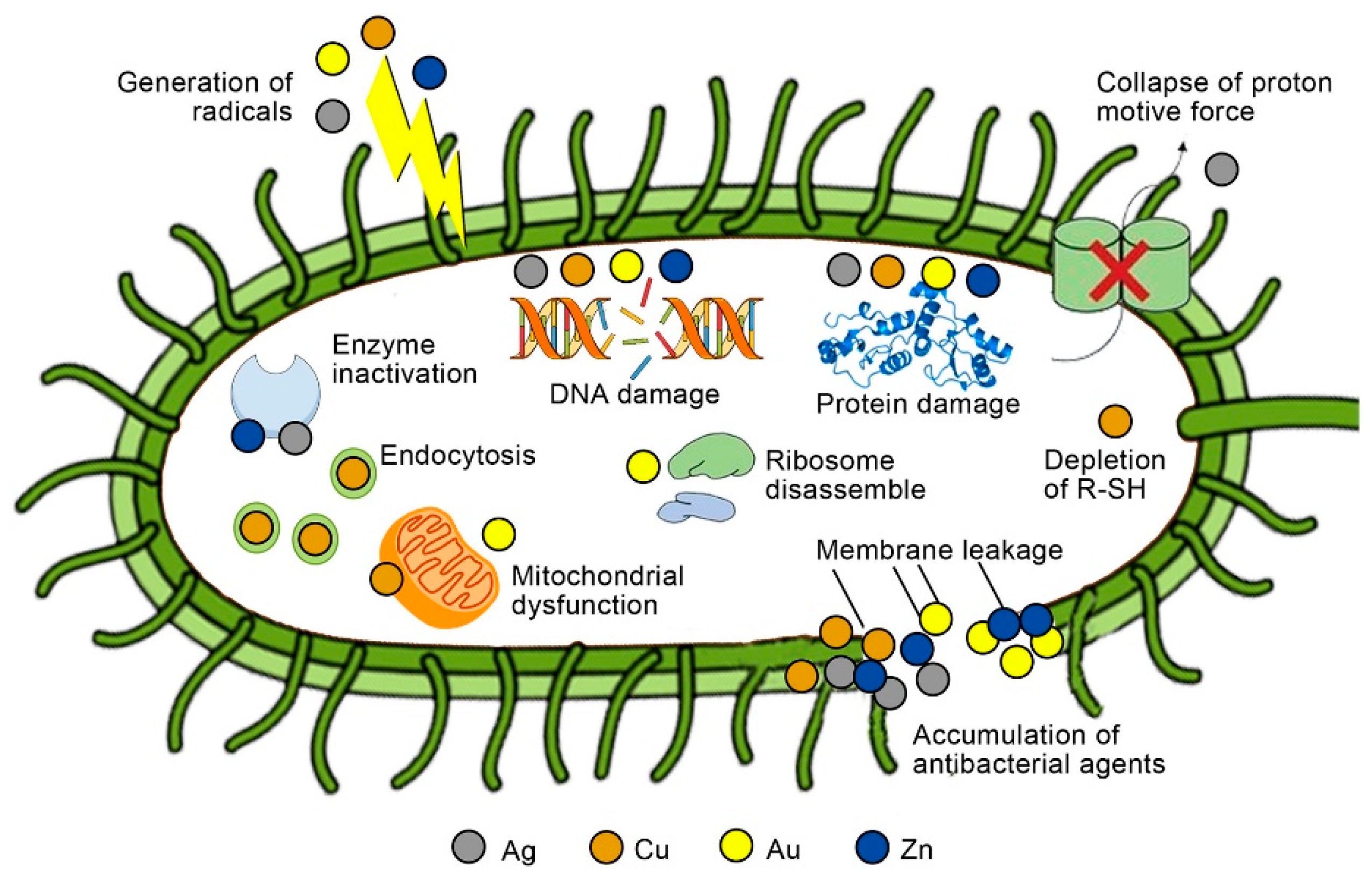 Gels | Free Full-Text | Recent Research on Hybrid Hydrogels for ...