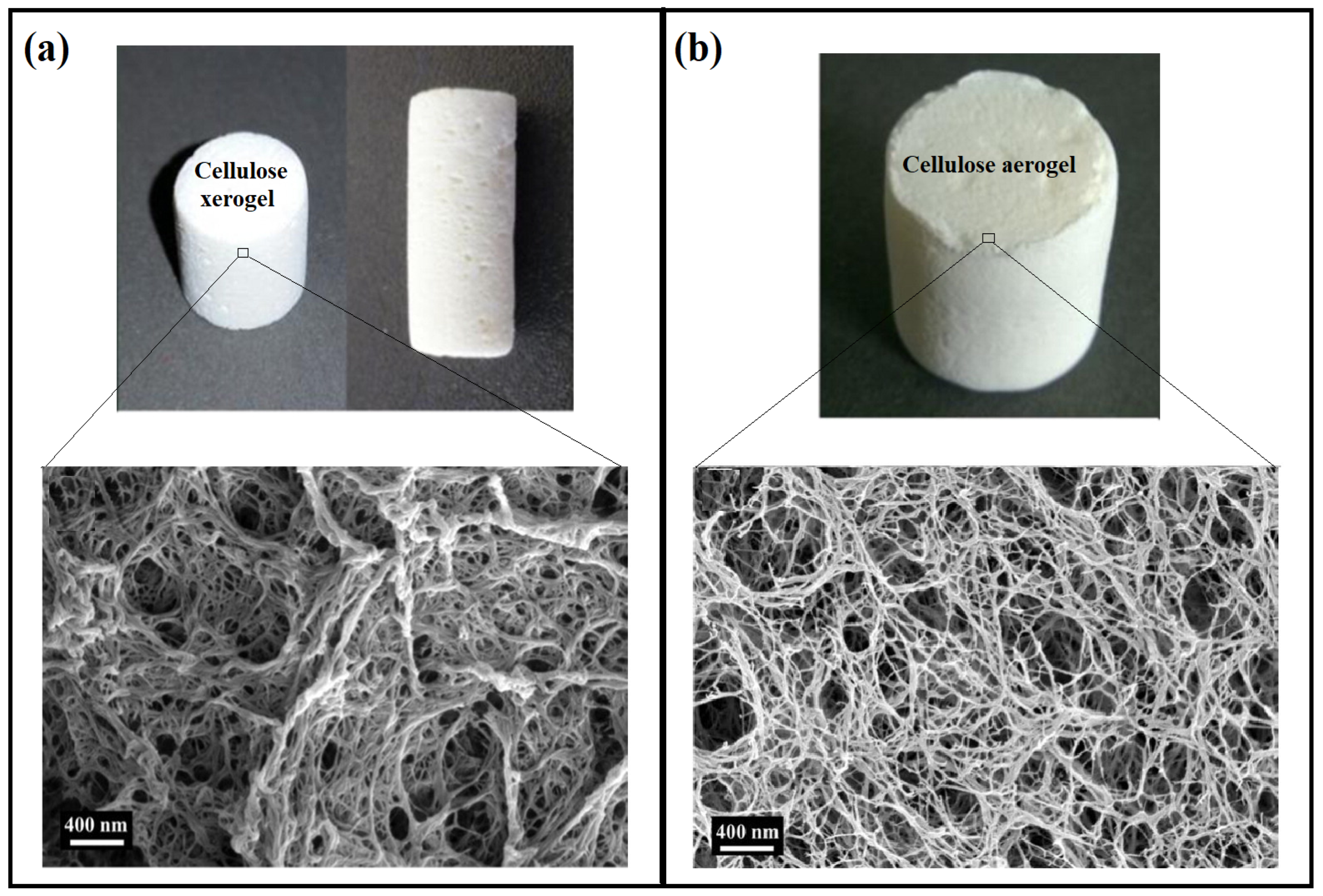 Gels 08 00334 g002 Gels 08 00334 g002