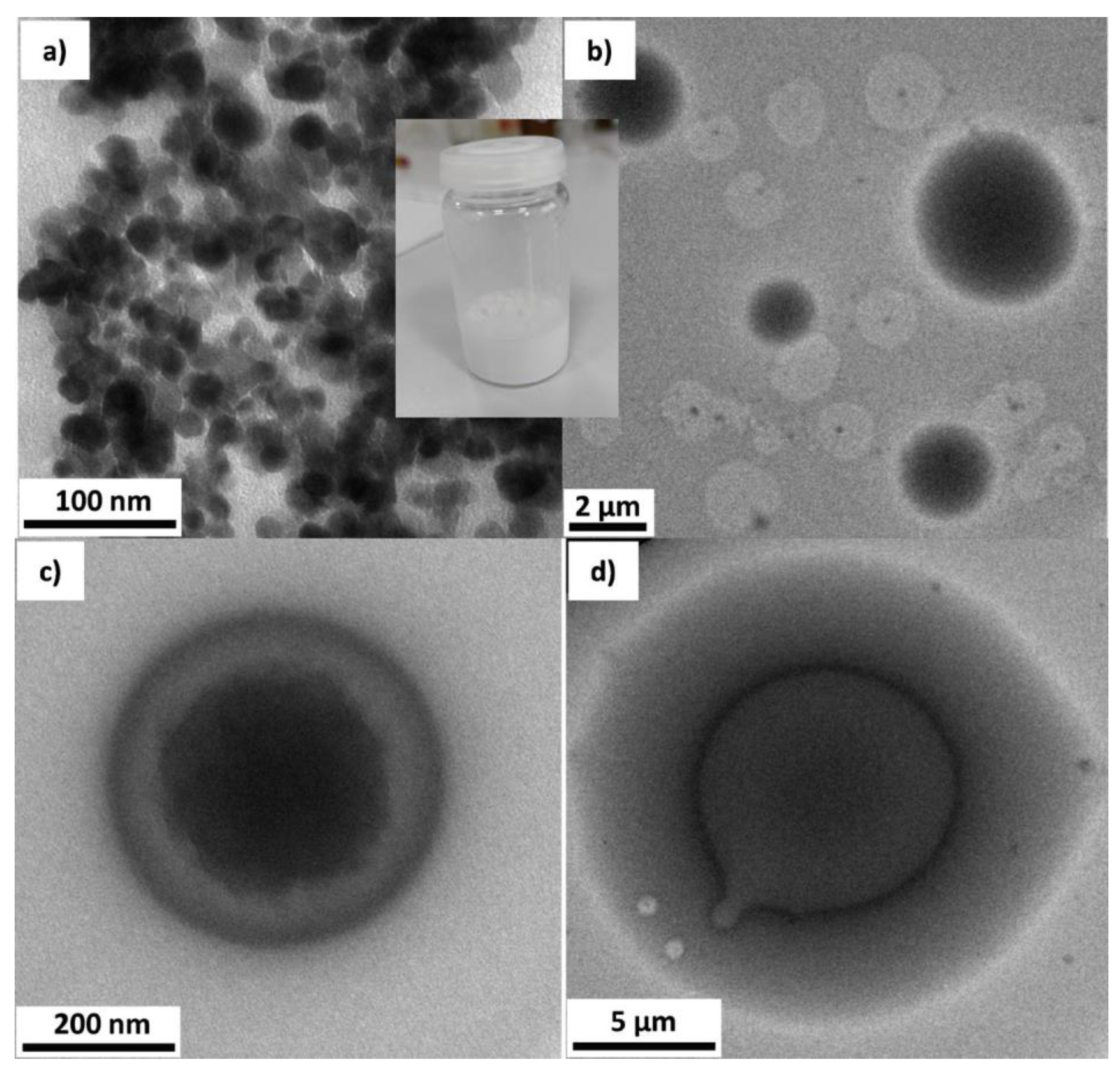 Gels 08 00377 g004 Gels 08 00377 g004