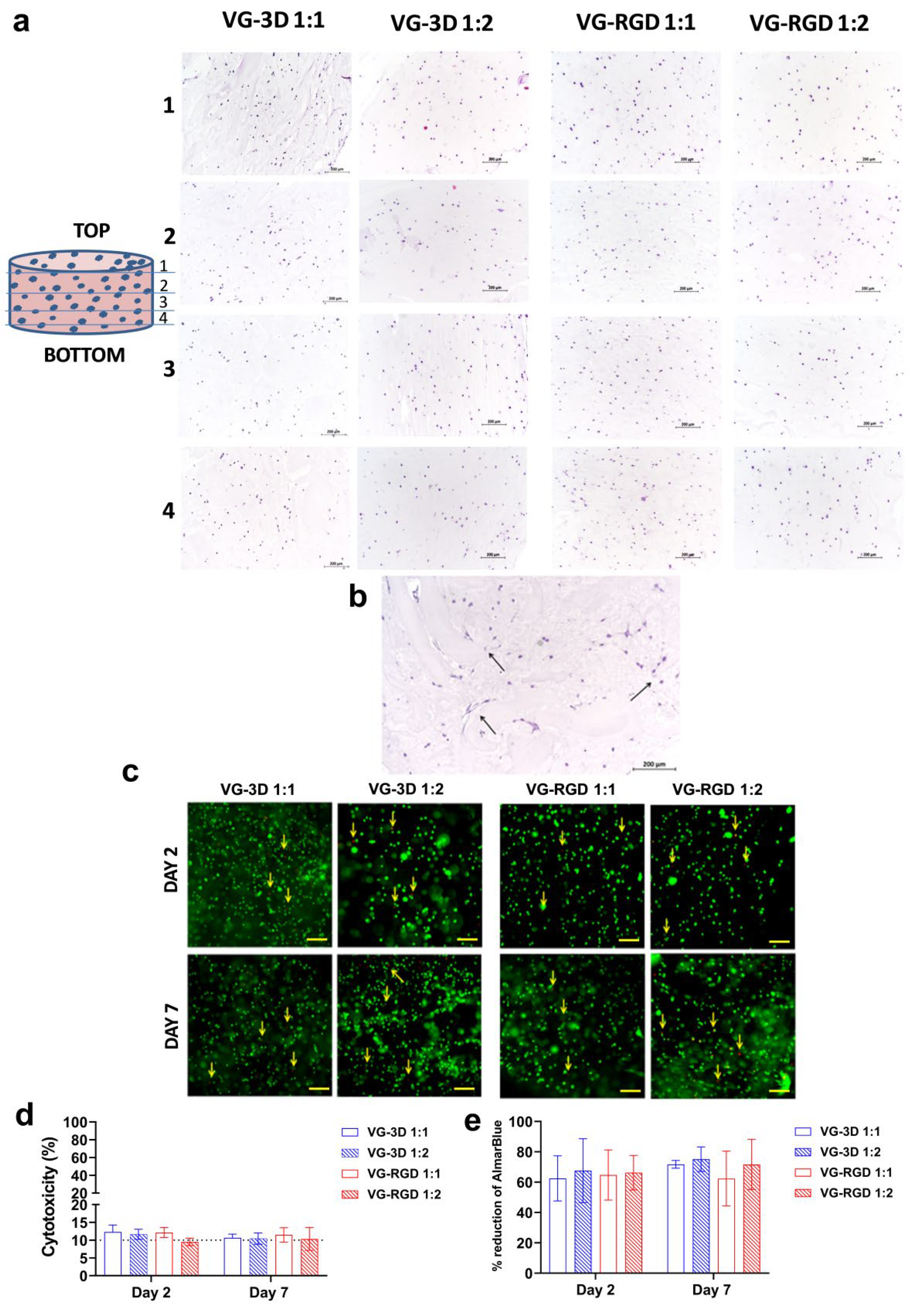 Gels 08 00382 g003