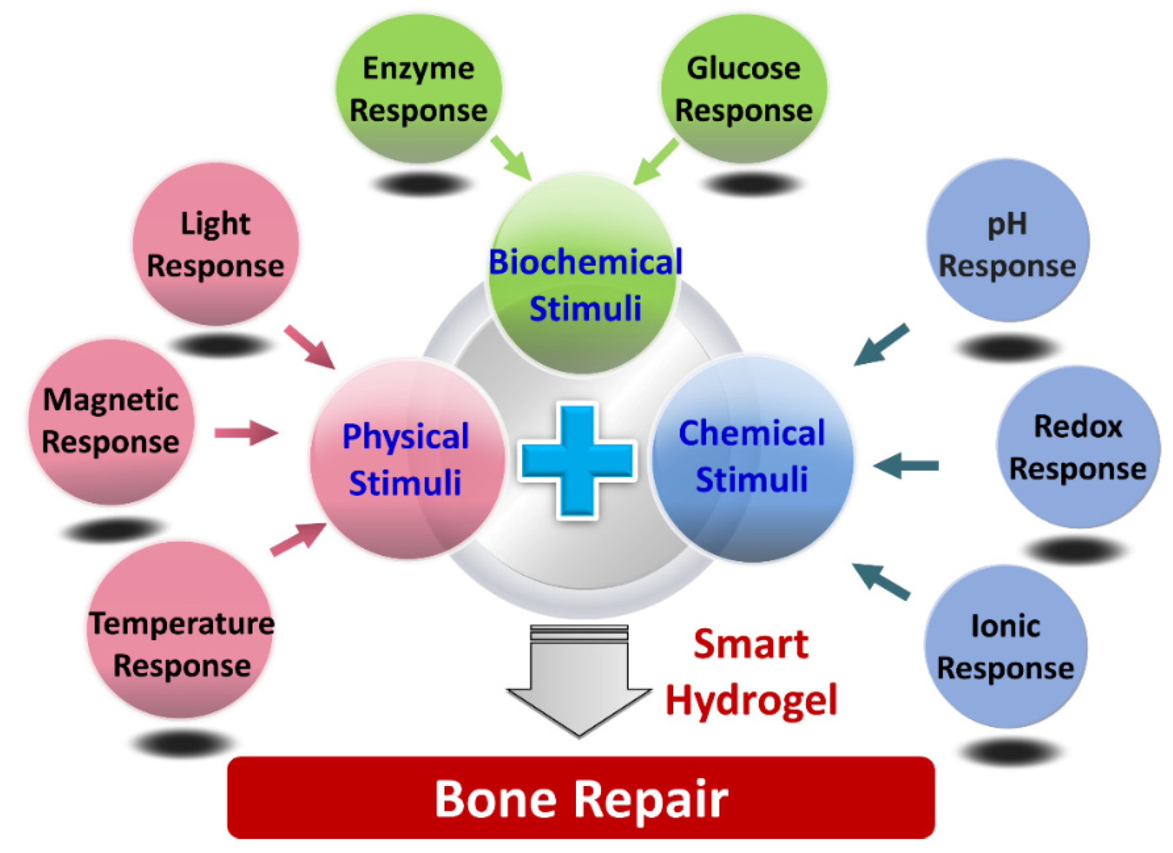 Gels | Free Full-Text | Advances of Stimulus-Responsive Hydrogels for Bone  Defects Repair in Tissue Engineering