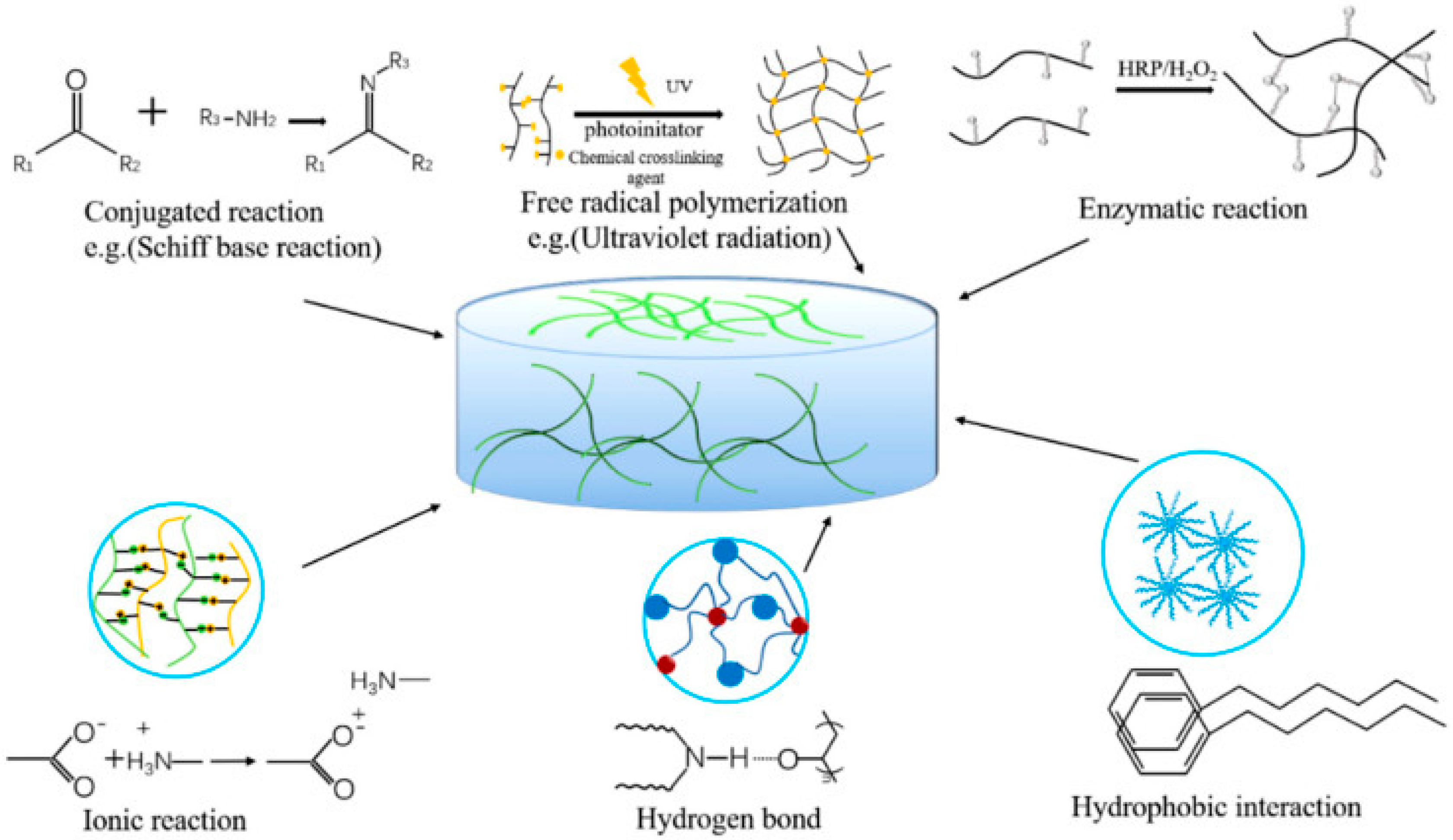 Gelation Mechanism of Poly(N-isopropylacrylamide)−Clay Nanocomposite Gels