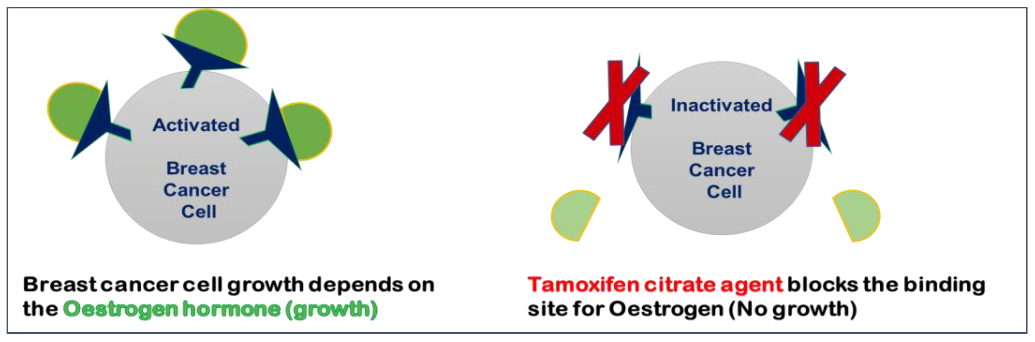 tamoxifen online