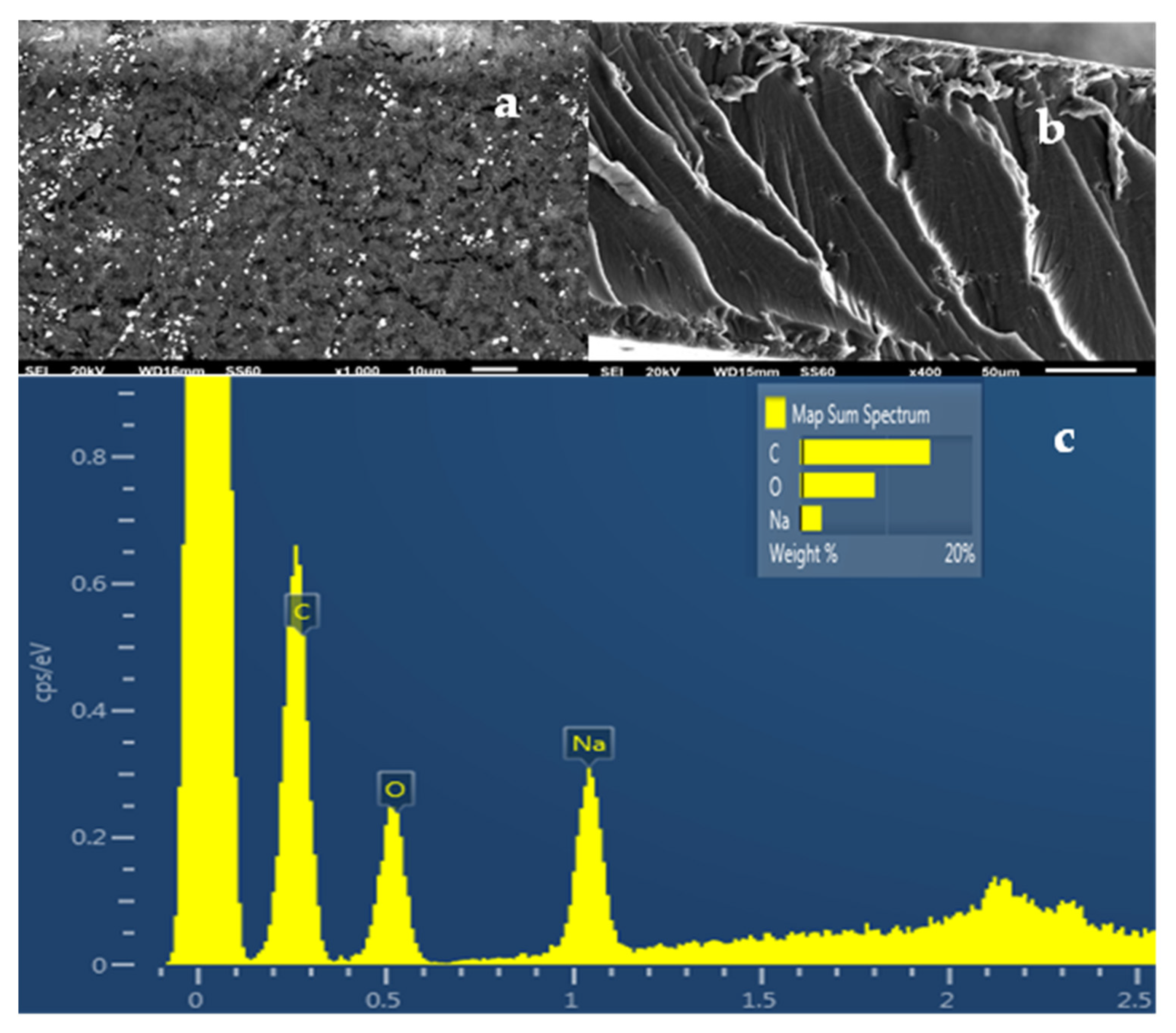 Gels 08 00539 g006