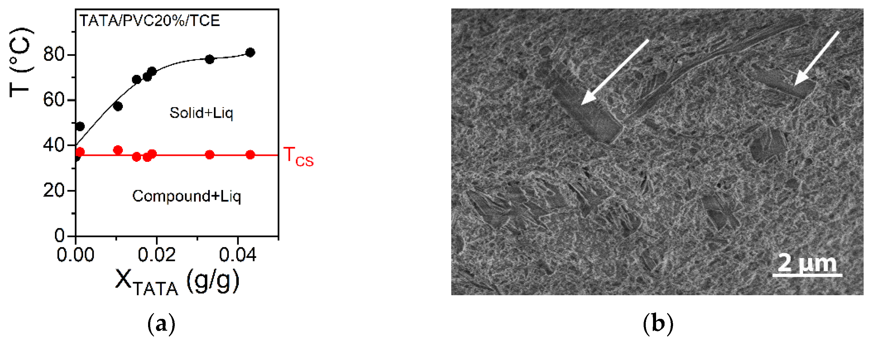 Gels | Free Full-Text | Some Remarkable Rheological and Conducting ...