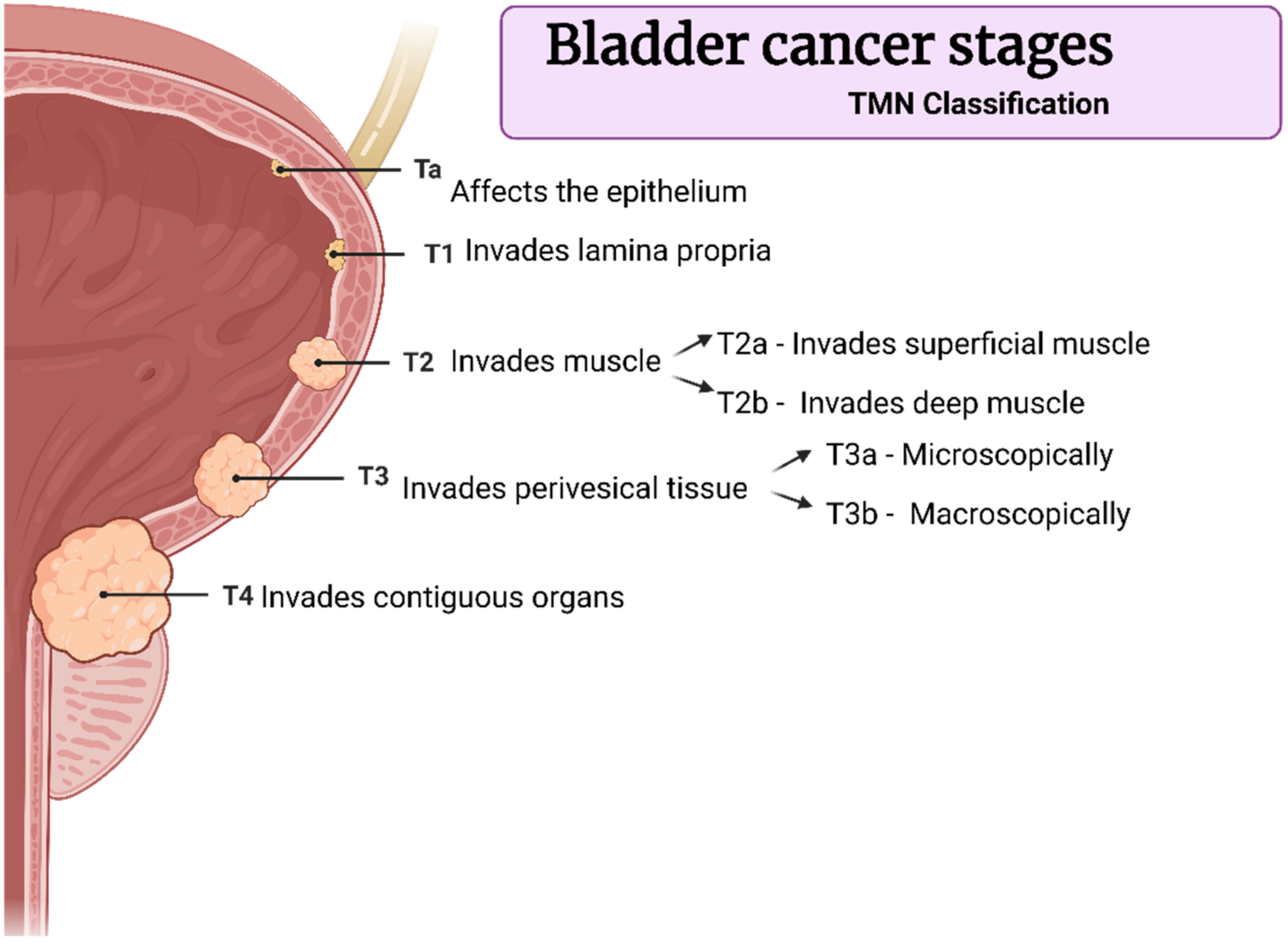Gels 08 00587 g002 Gels 08 00587 g002
