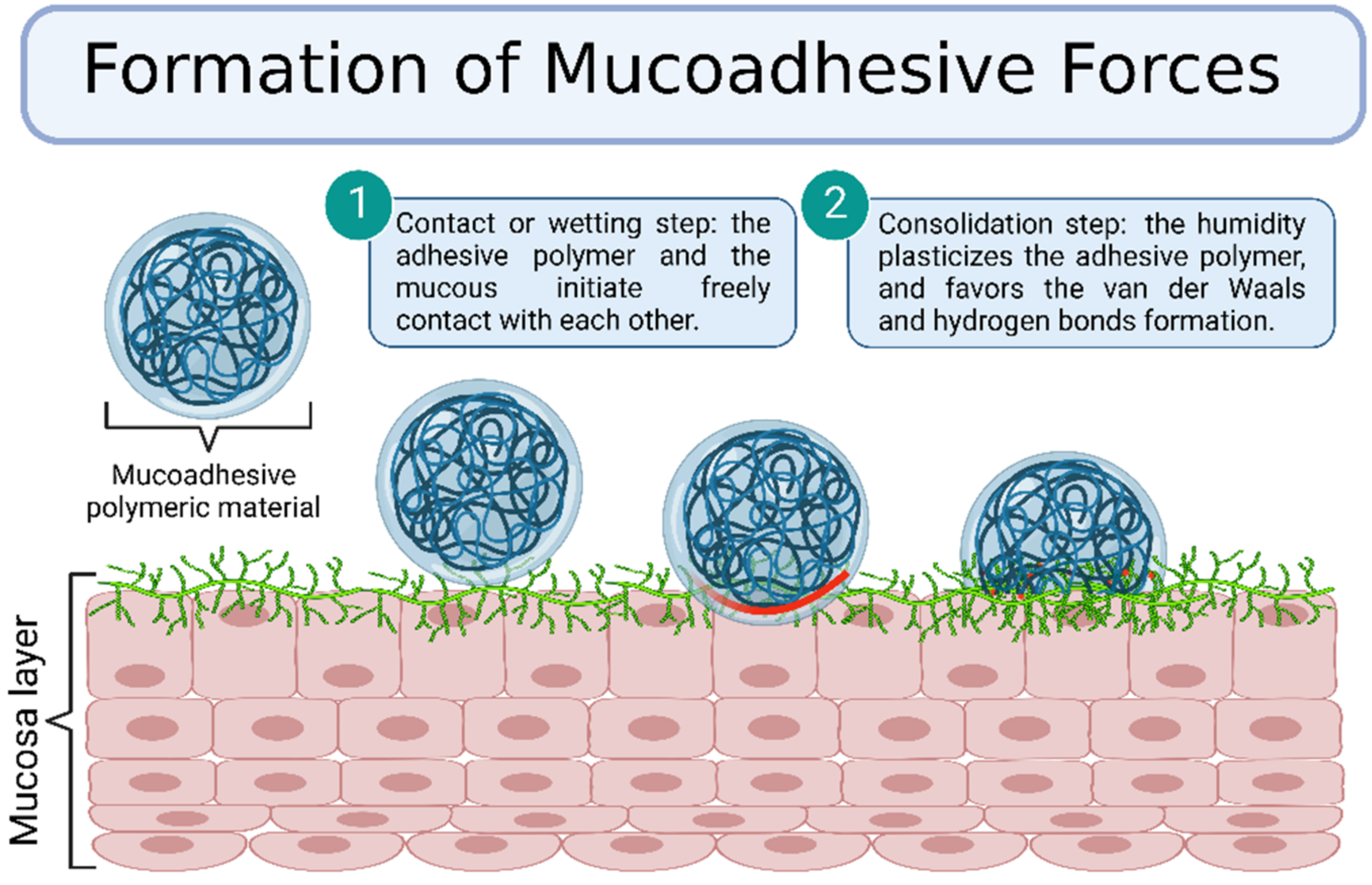 Gels 08 00587 g006 Gels 08 00587 g006