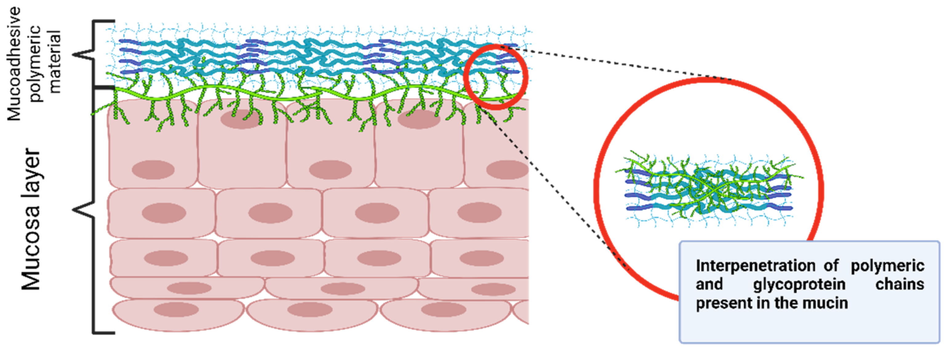 Gels 08 00587 g009 Gels 08 00587 g009