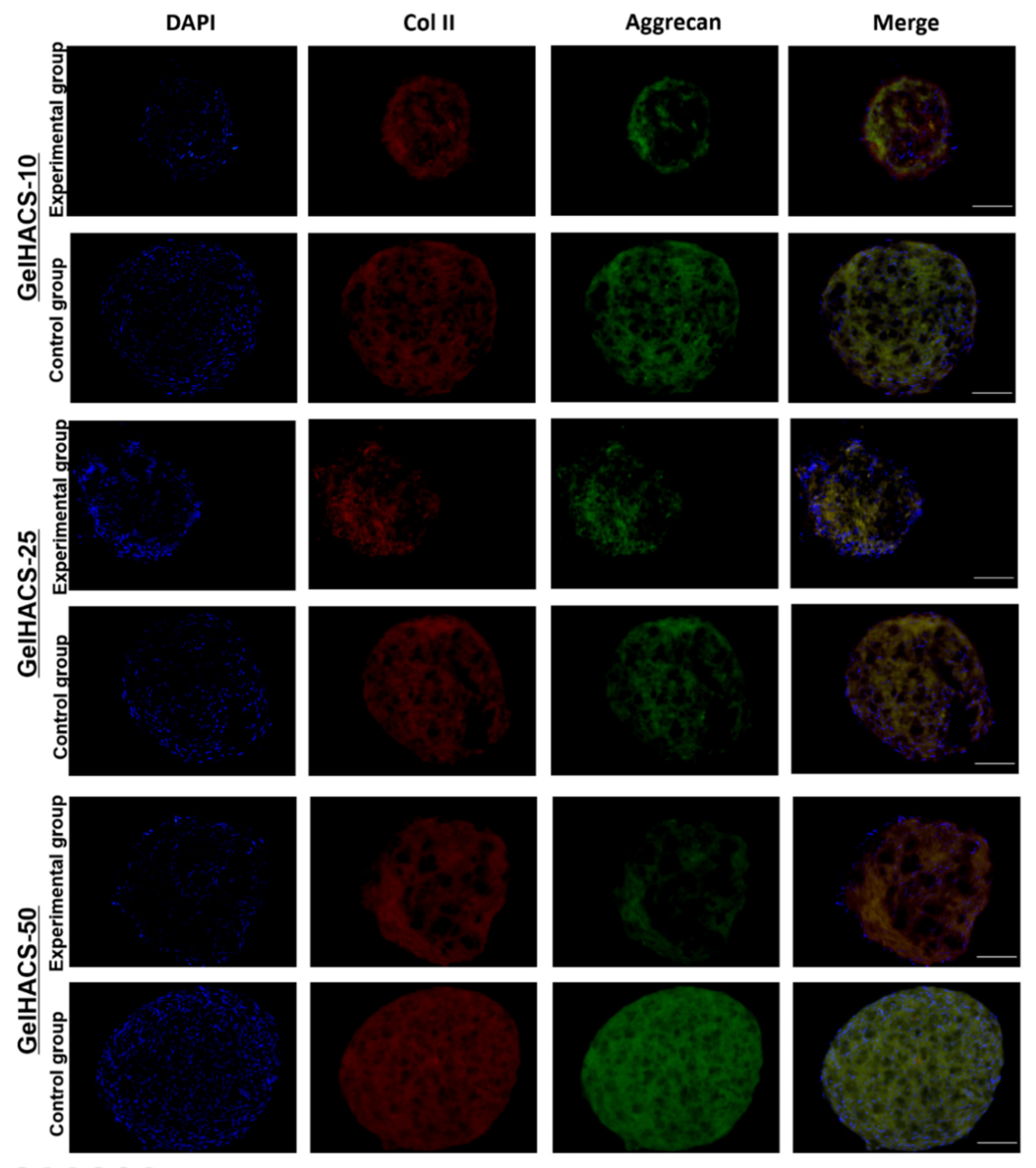 Gels 08 00590 g008 Gels 08 00590 g008