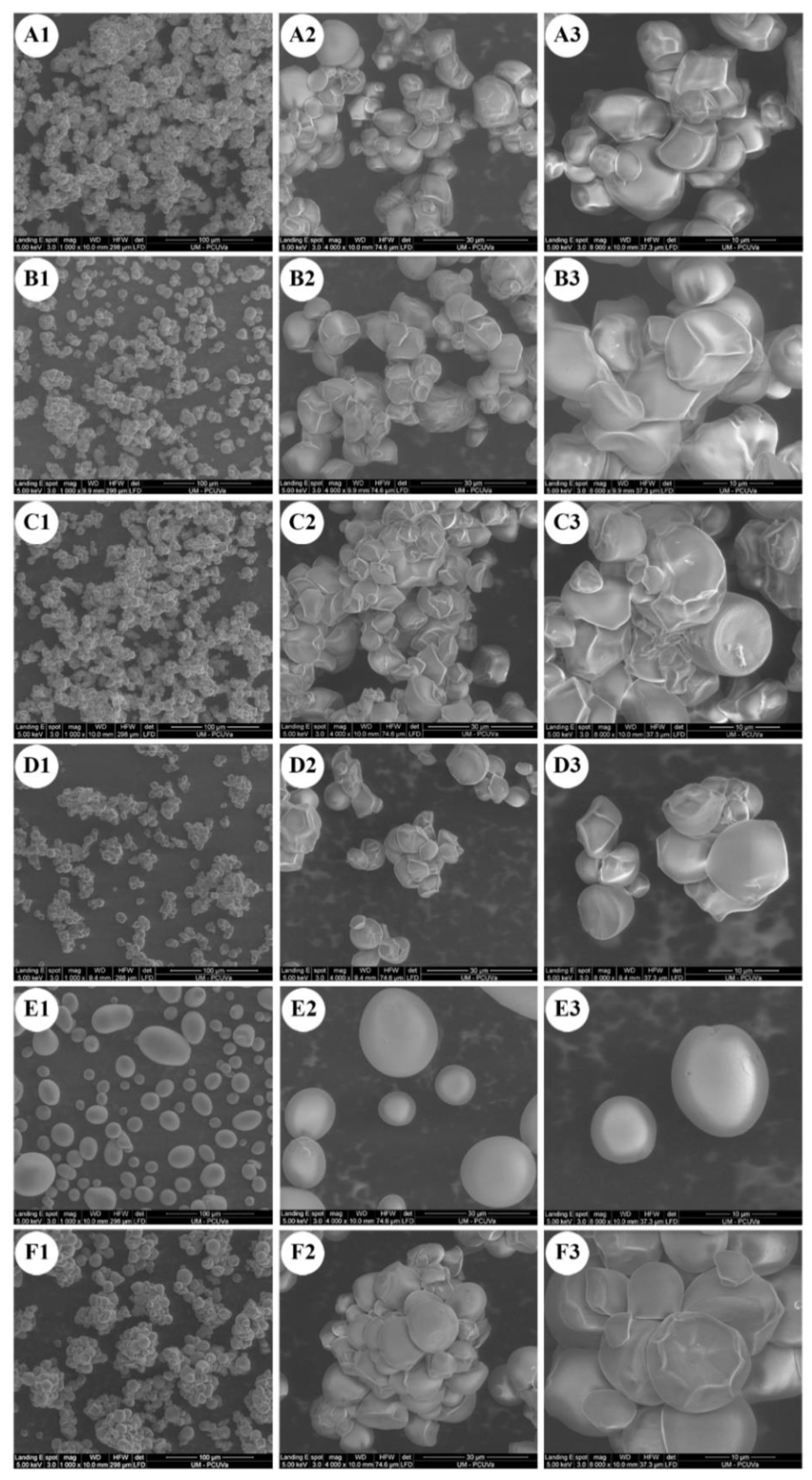 Gels 08 00591 g001 Gels 08 00591 g001