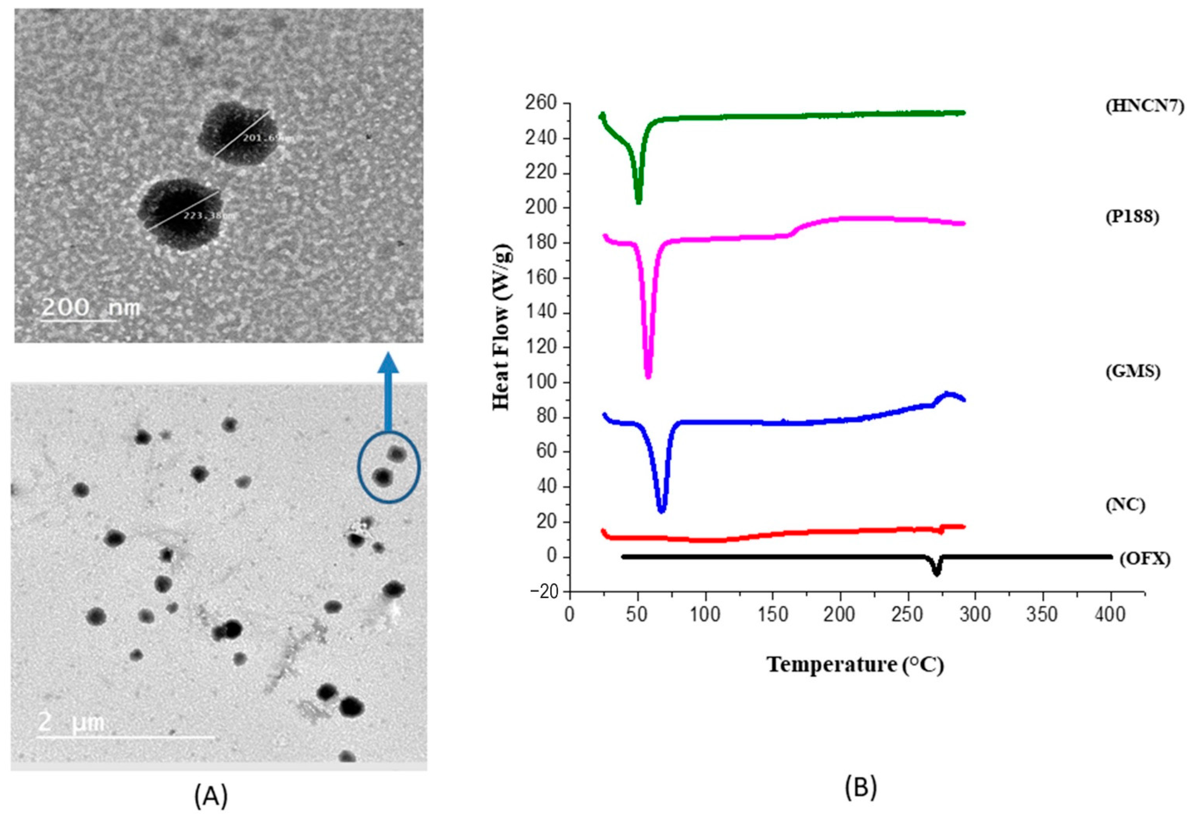 Gels 08 00593 g003 Gels 08 00593 g003
