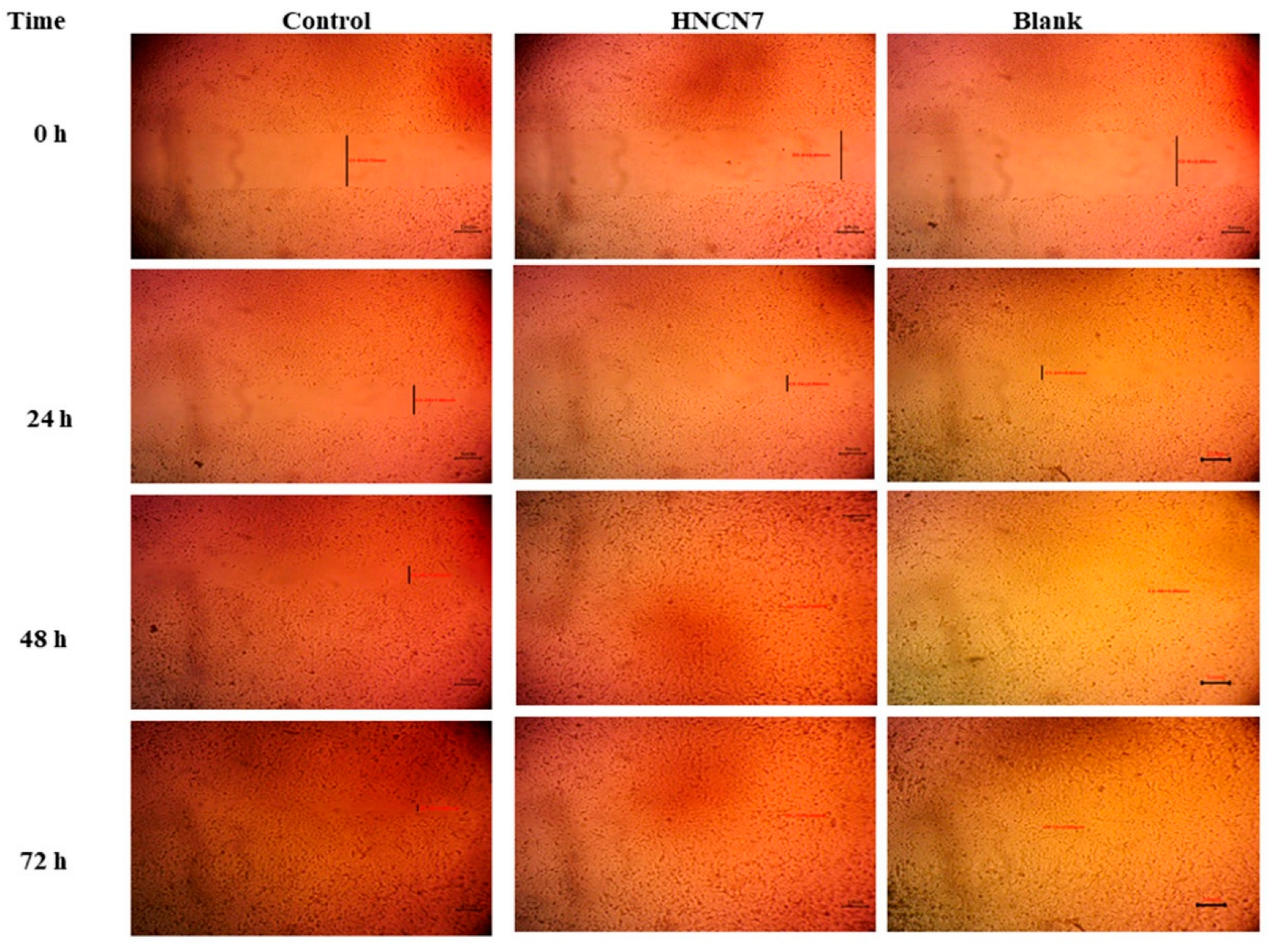 Gels 08 00593 g006 Gels 08 00593 g006