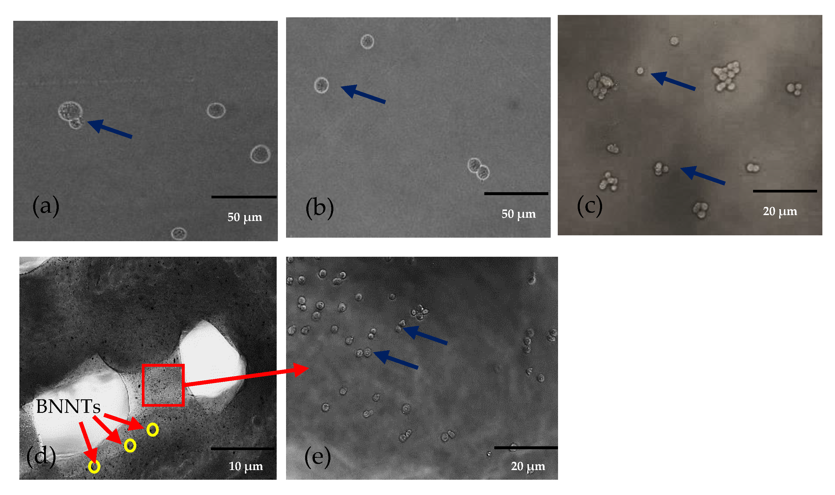 Gels 08 00603 g002 Gels 08 00603 g002