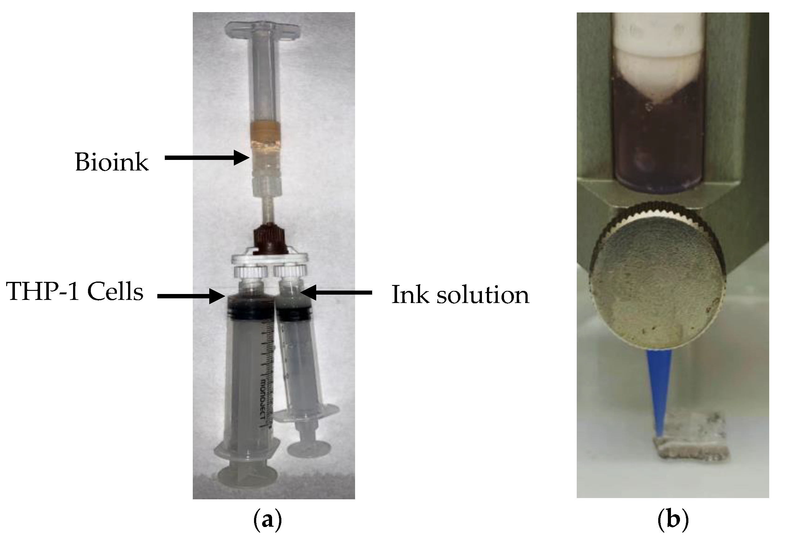 Gels 08 00603 g004 Gels 08 00603 g004