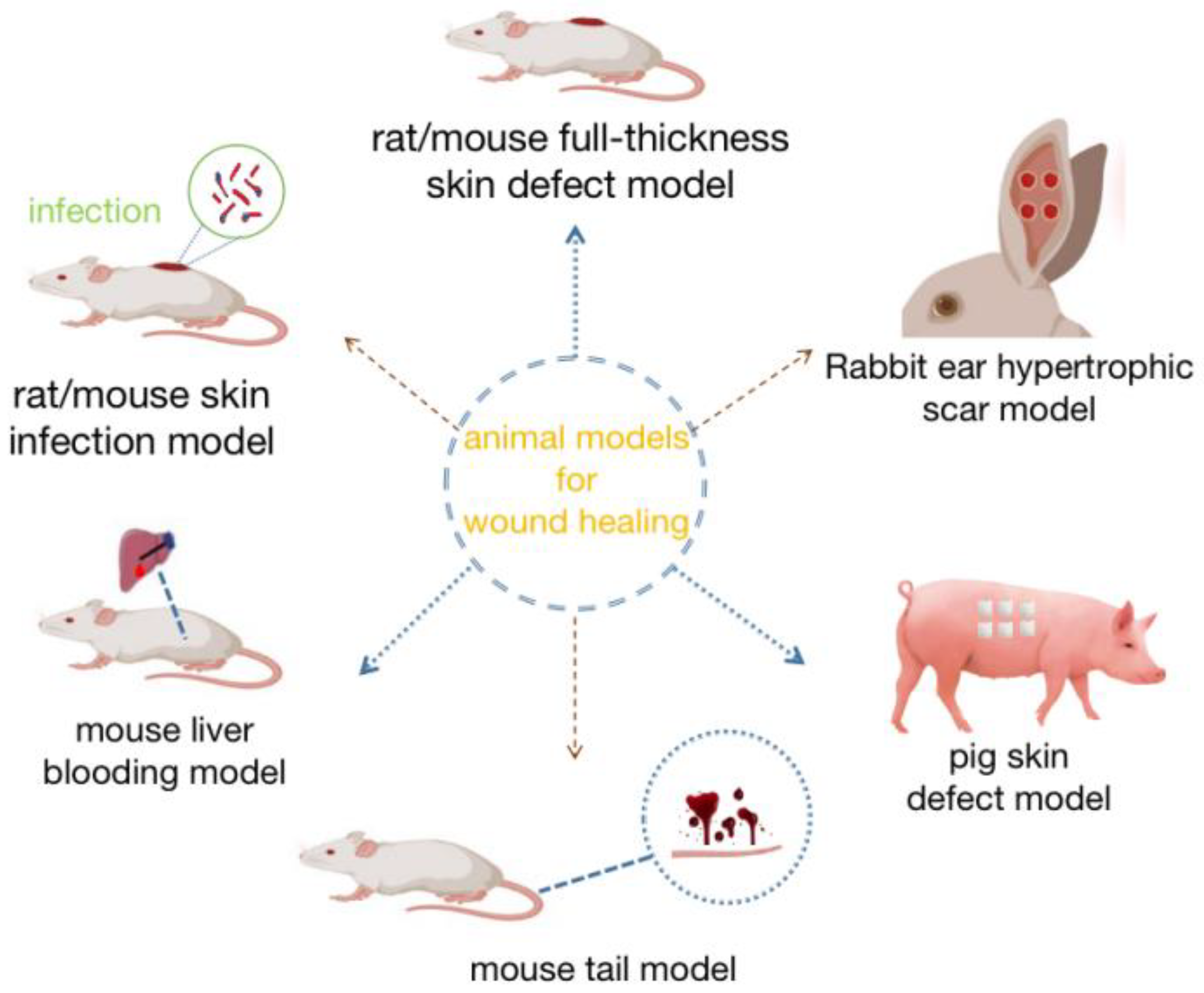 Gels 08 00609 g002 Gels 08 00609 g002