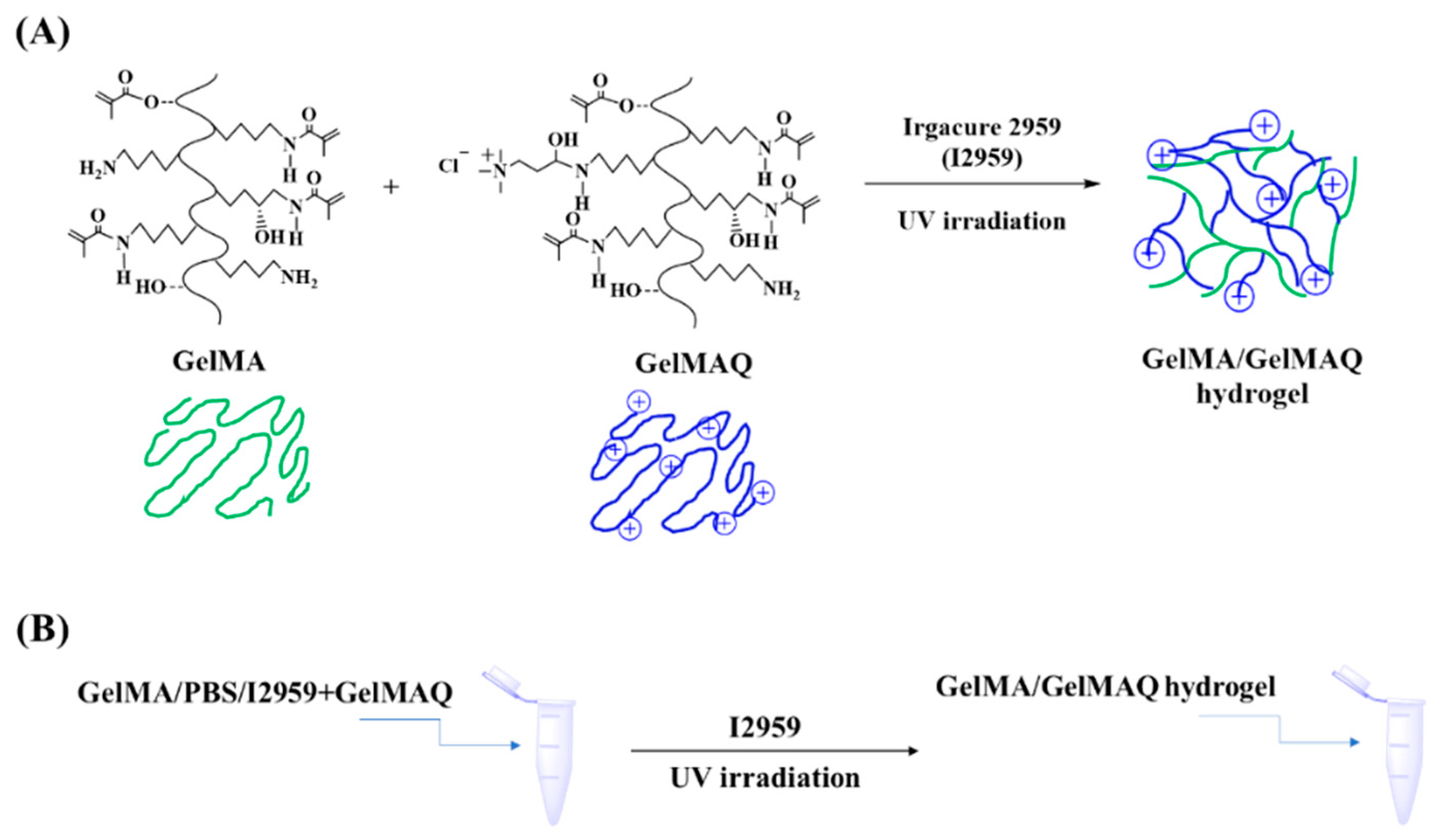 Gels 08 00630 g002 Gels 08 00630 g002