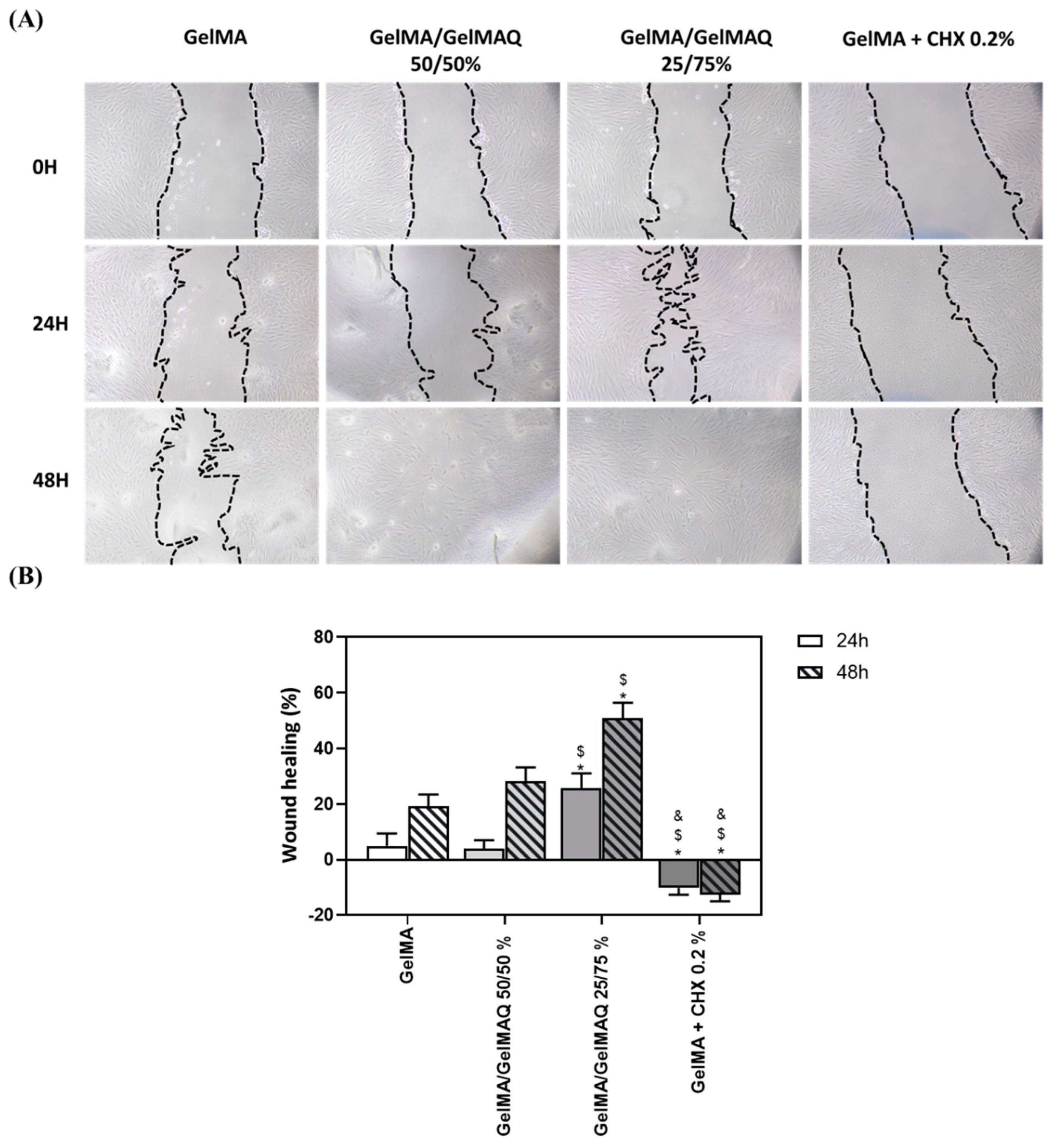 Gels 08 00630 g004 Gels 08 00630 g004