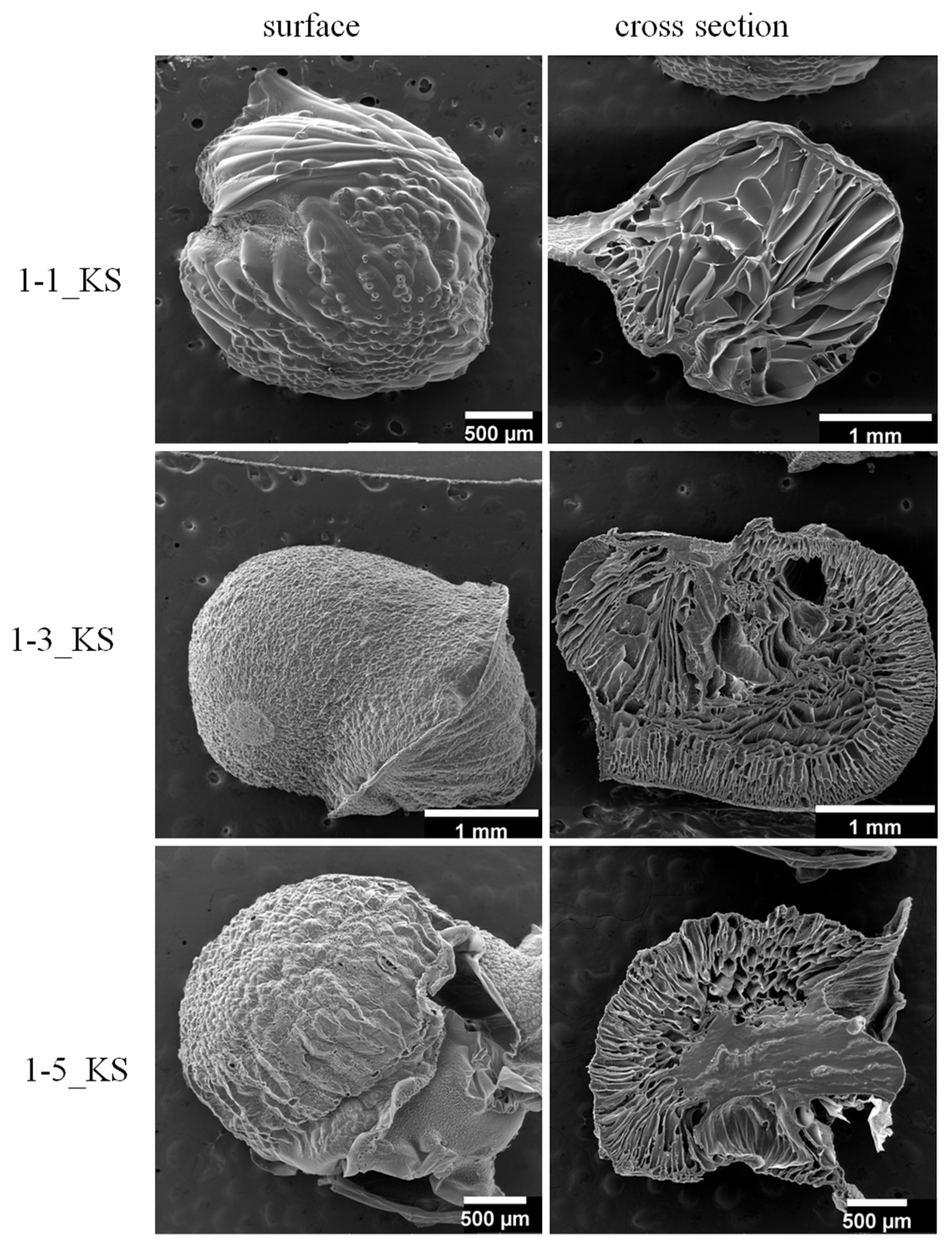 Gels 08 00636 g004 Gels 08 00636 g004
