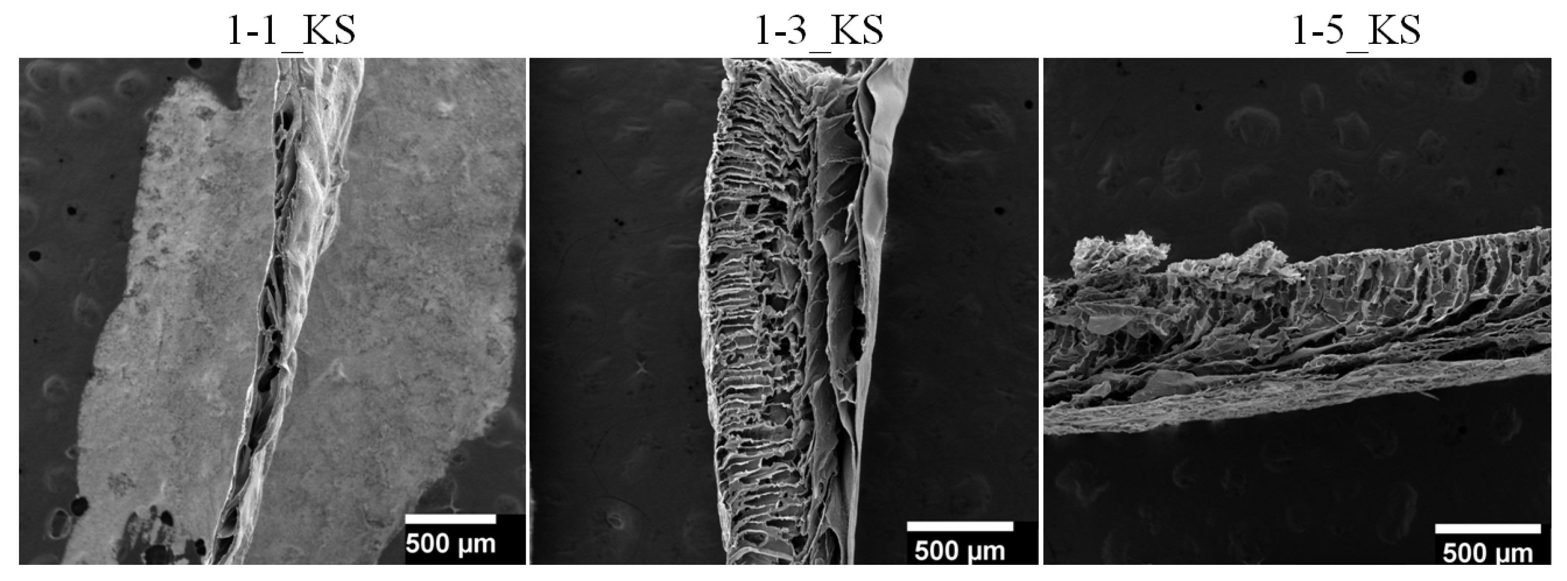 Gels 08 00636 g005 Gels 08 00636 g005