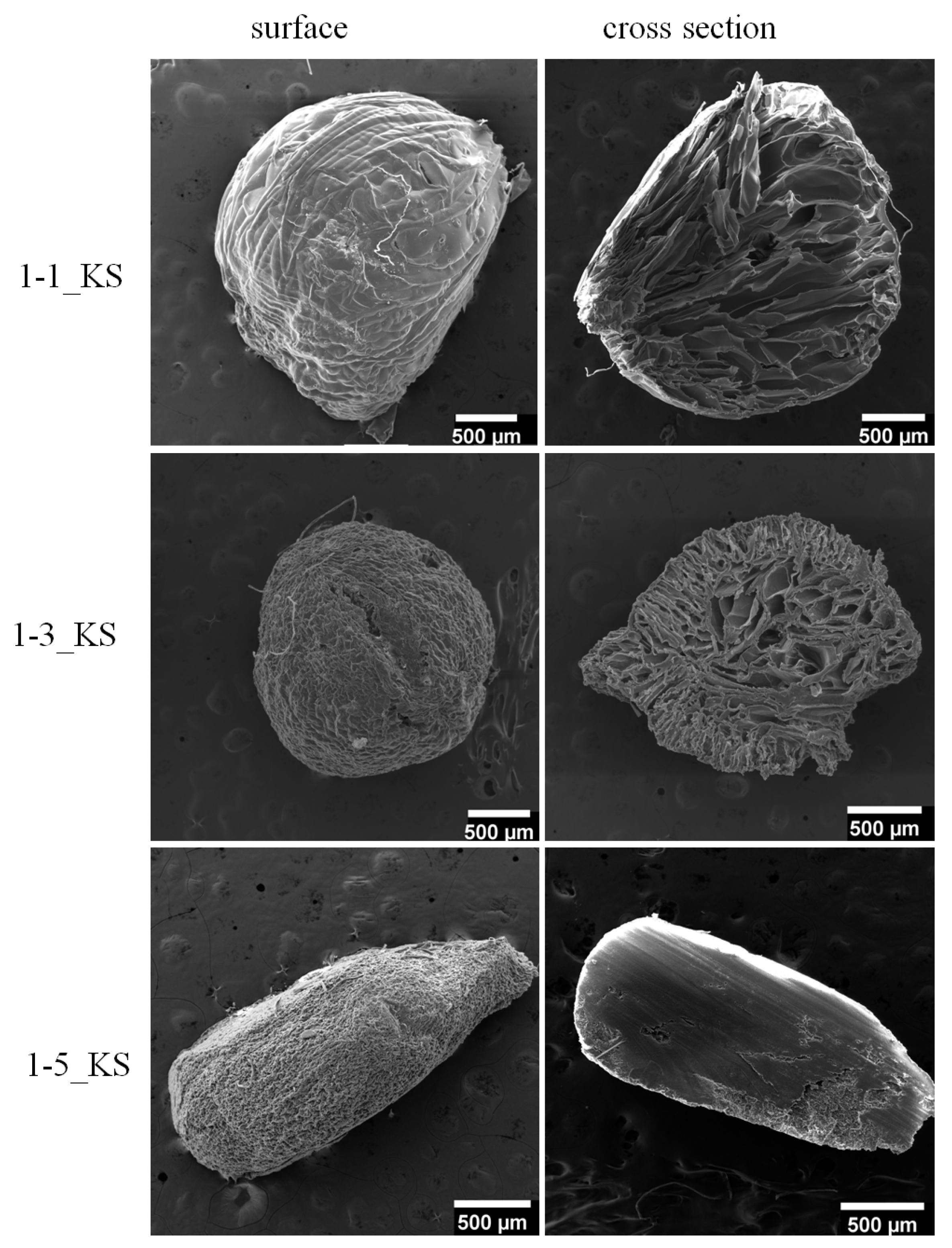 Gels 08 00636 g006 Gels 08 00636 g006