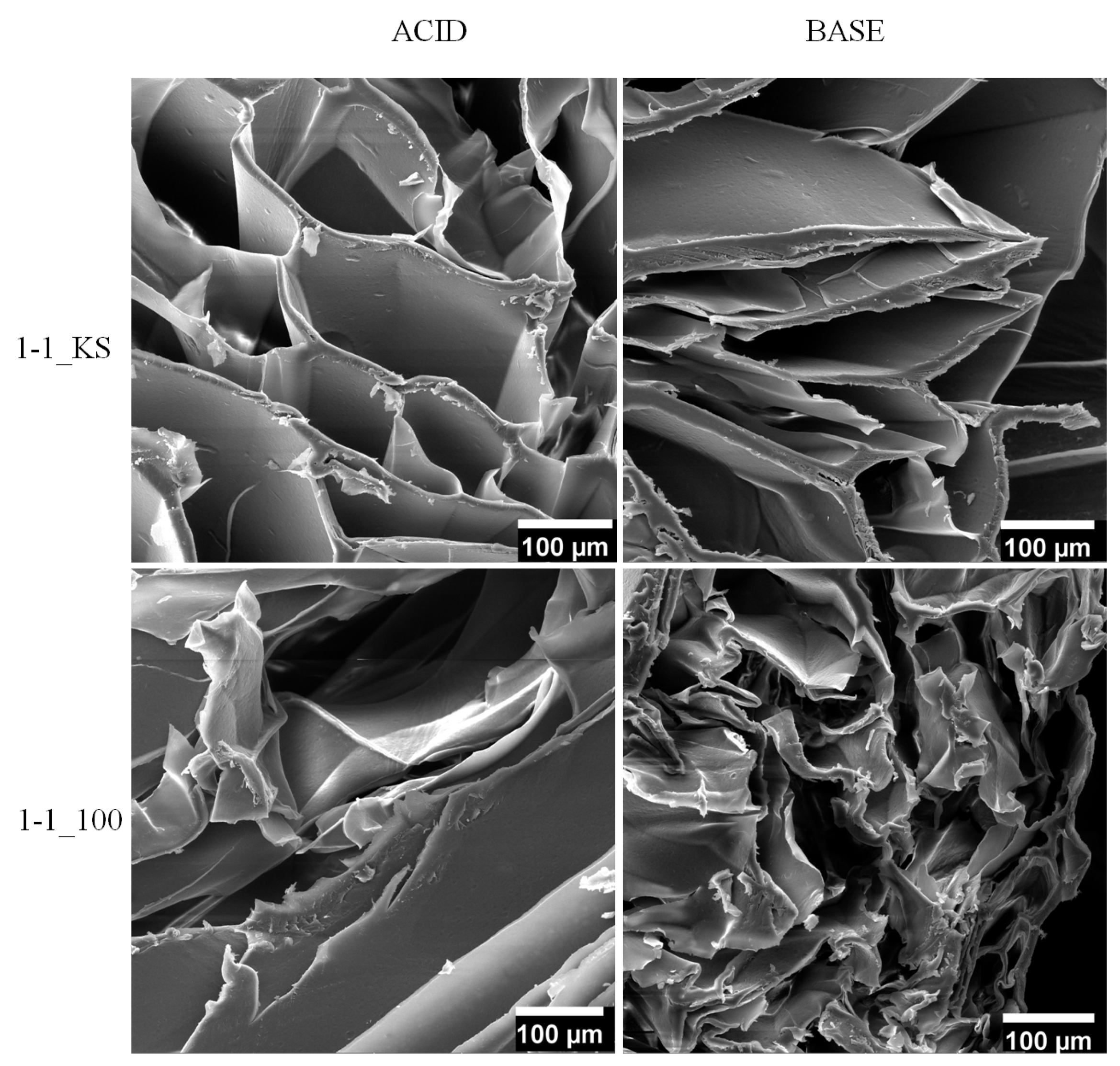 Gels 08 00636 g007 Gels 08 00636 g007