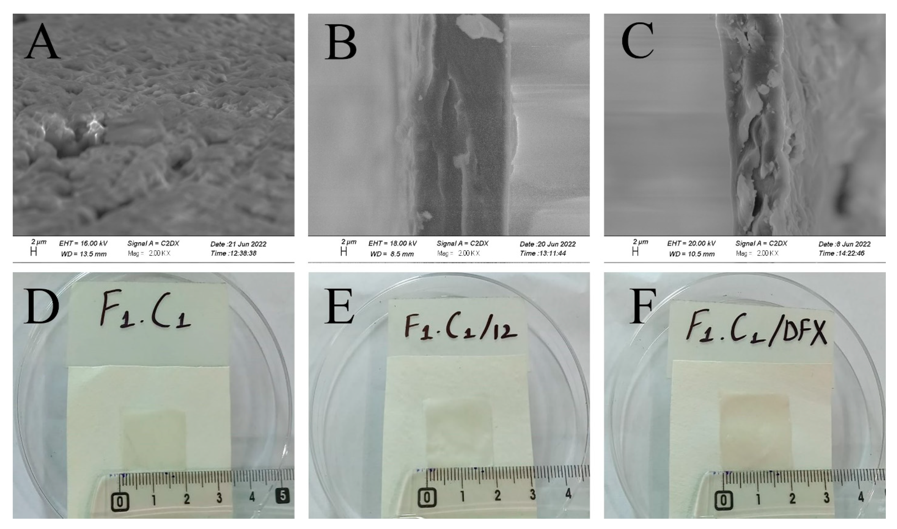 Gels 08 00652 g003 Gels 08 00652 g003