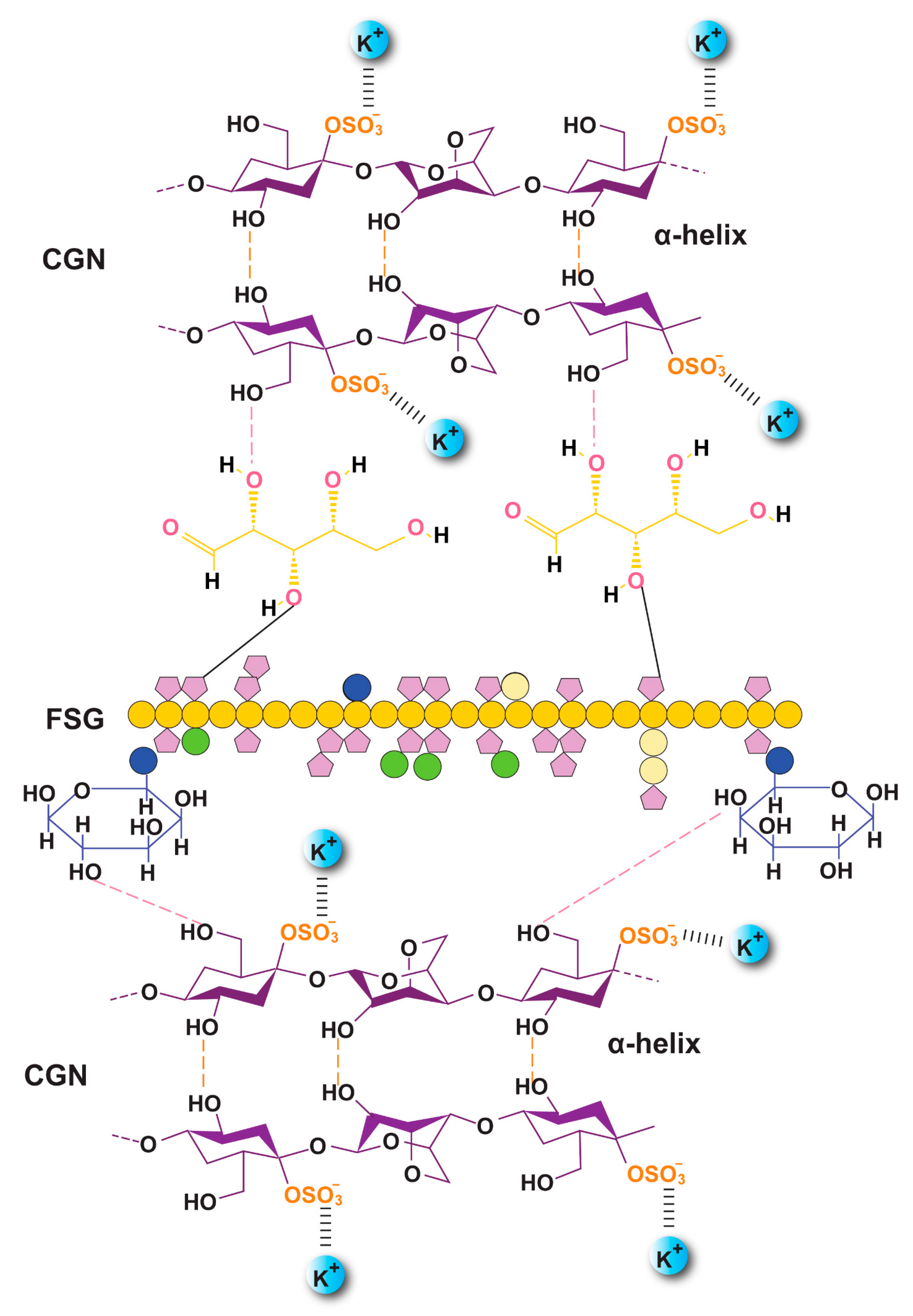 Gels 08 00652 g005 Gels 08 00652 g005