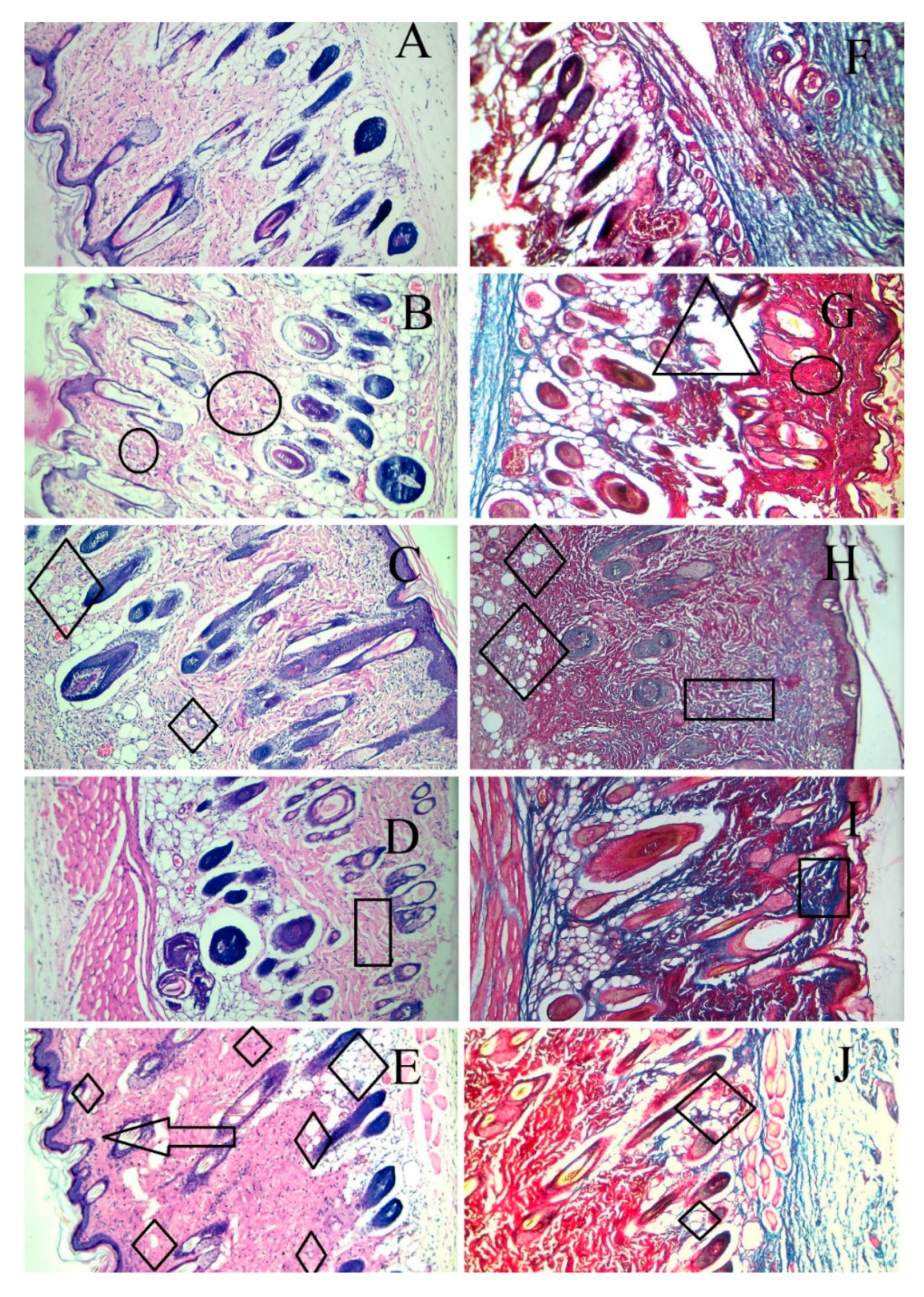 Gels 08 00652 g009 Gels 08 00652 g009