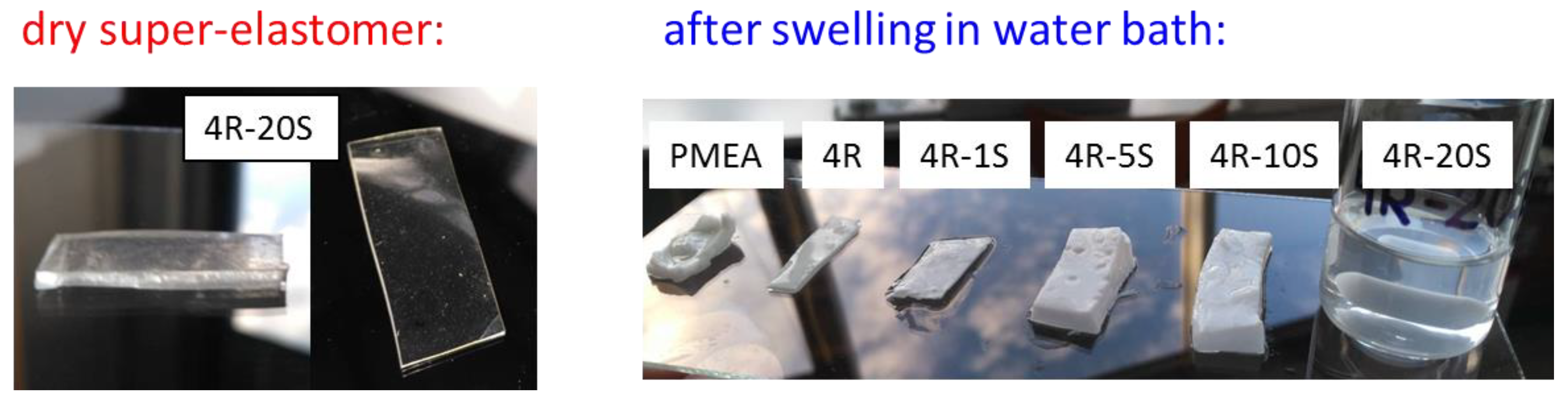 Gels 08 00657 g001 Gels 08 00657 g001