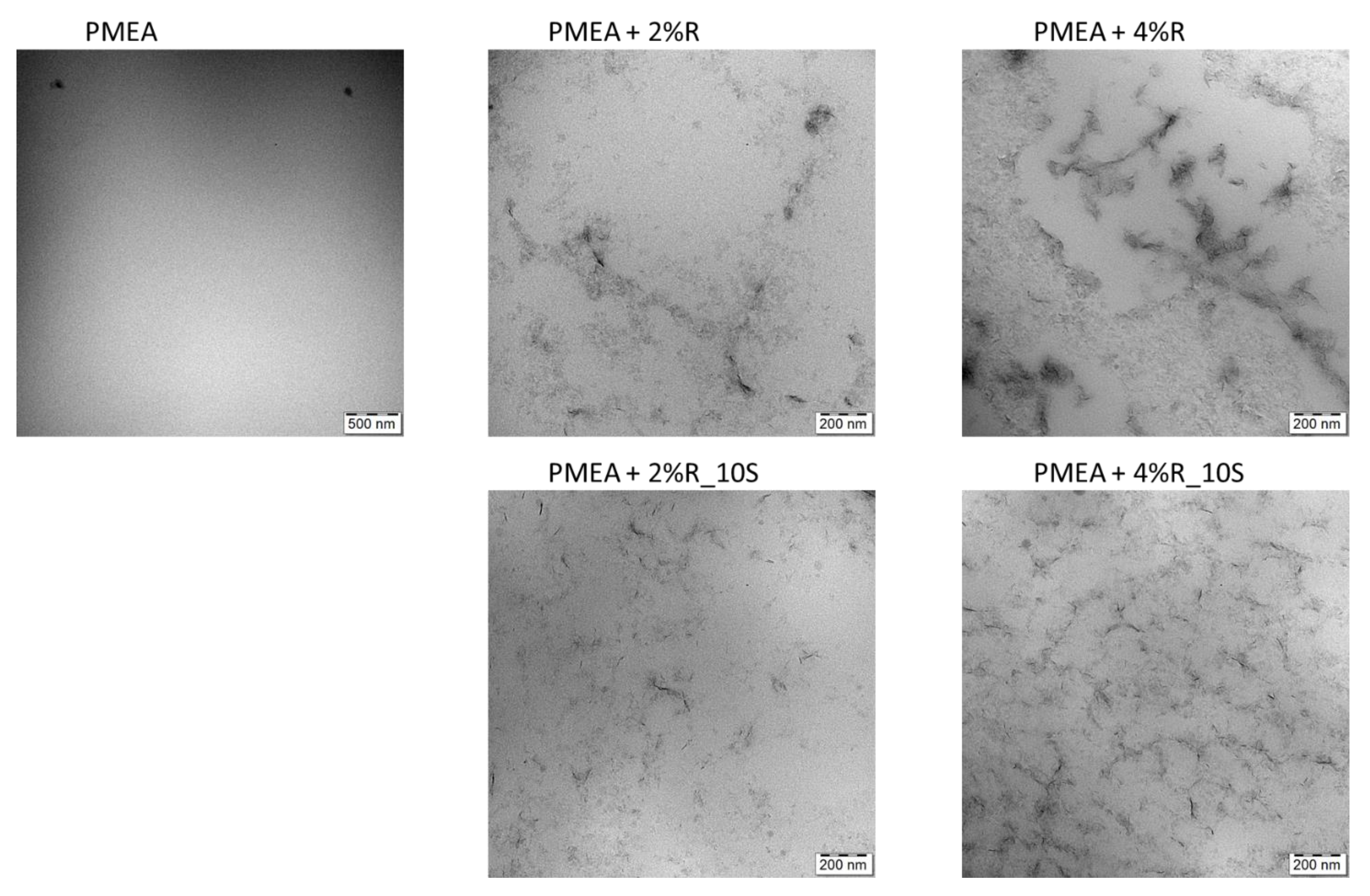 Gels 08 00657 g003 Gels 08 00657 g003