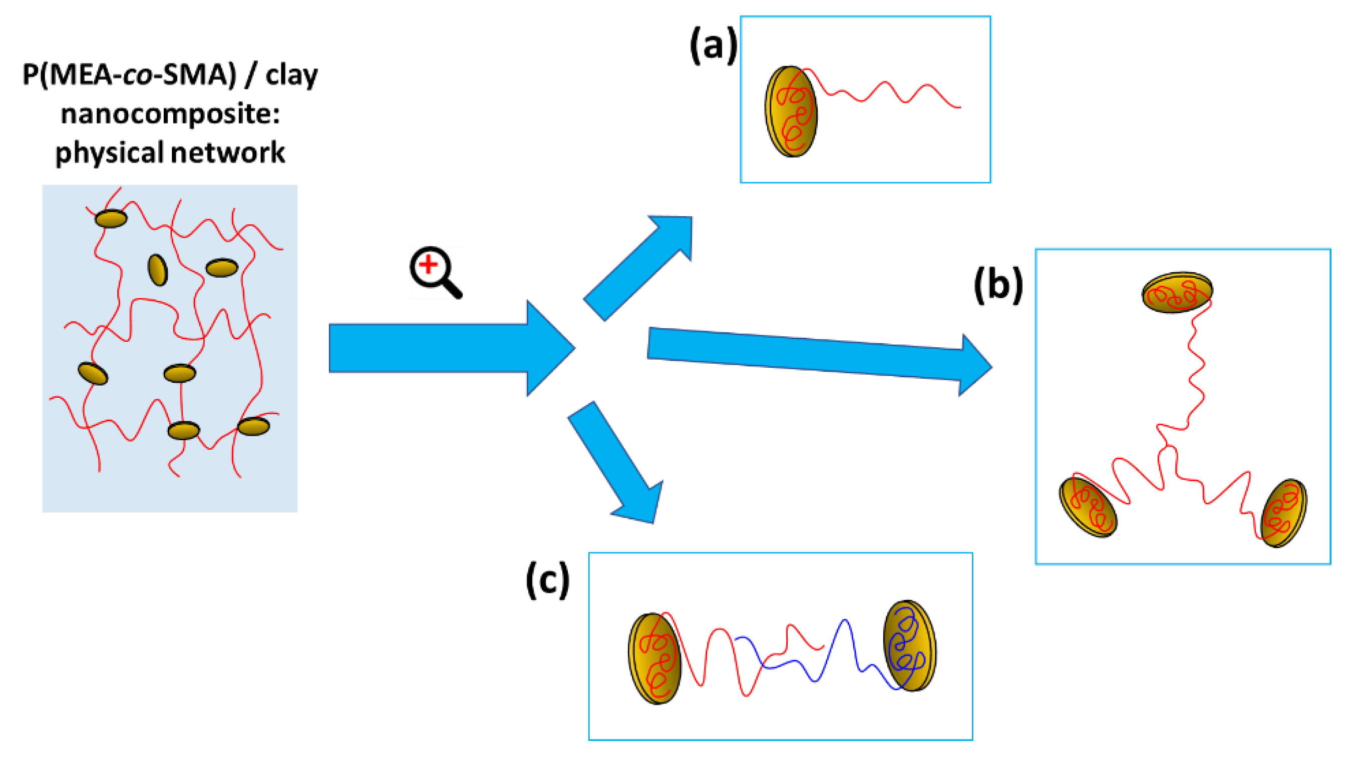 Gels 08 00657 sch002 Gels 08 00657 sch002