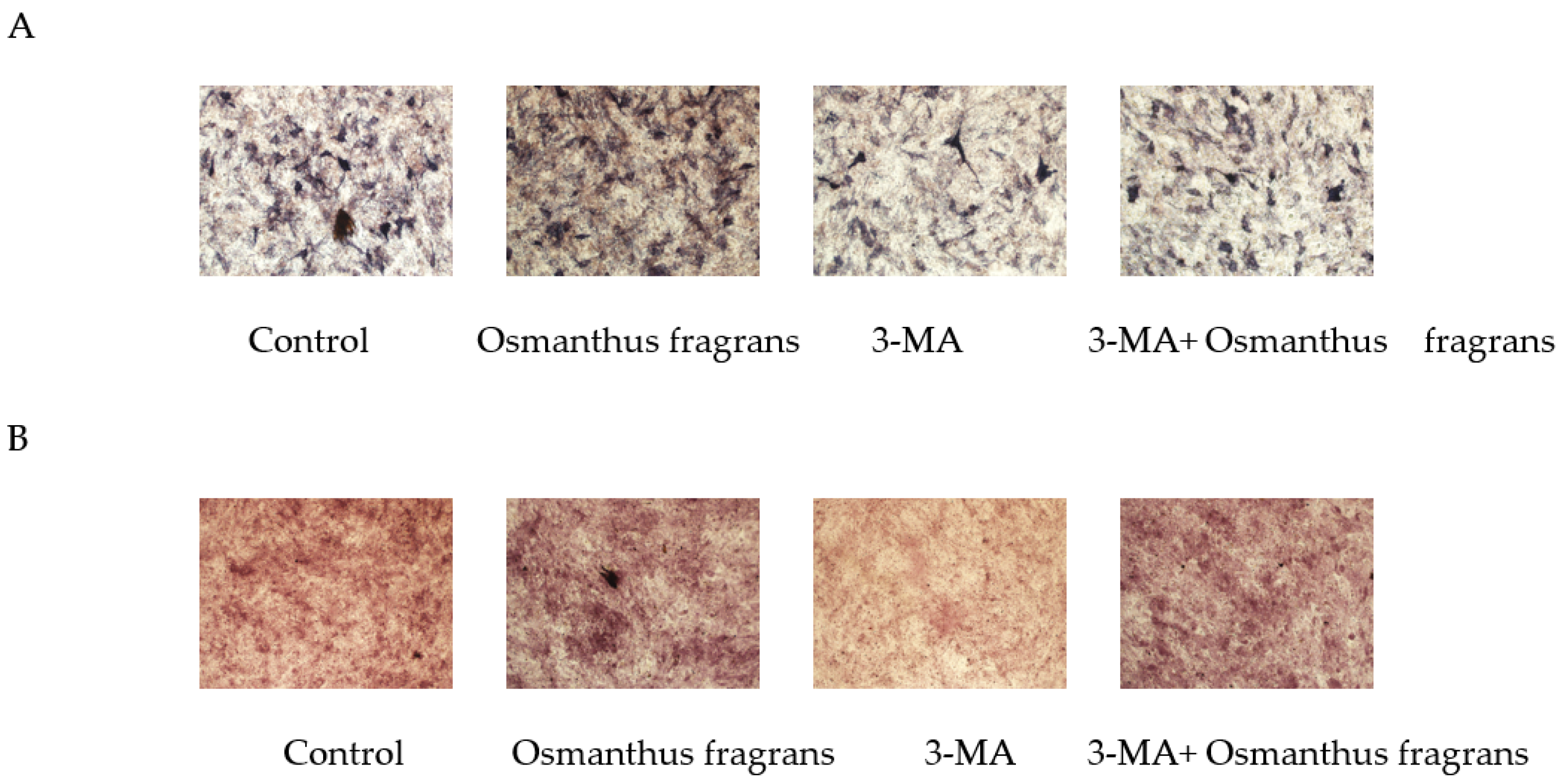 Gels 08 00659 g012 Gels 08 00659 g012