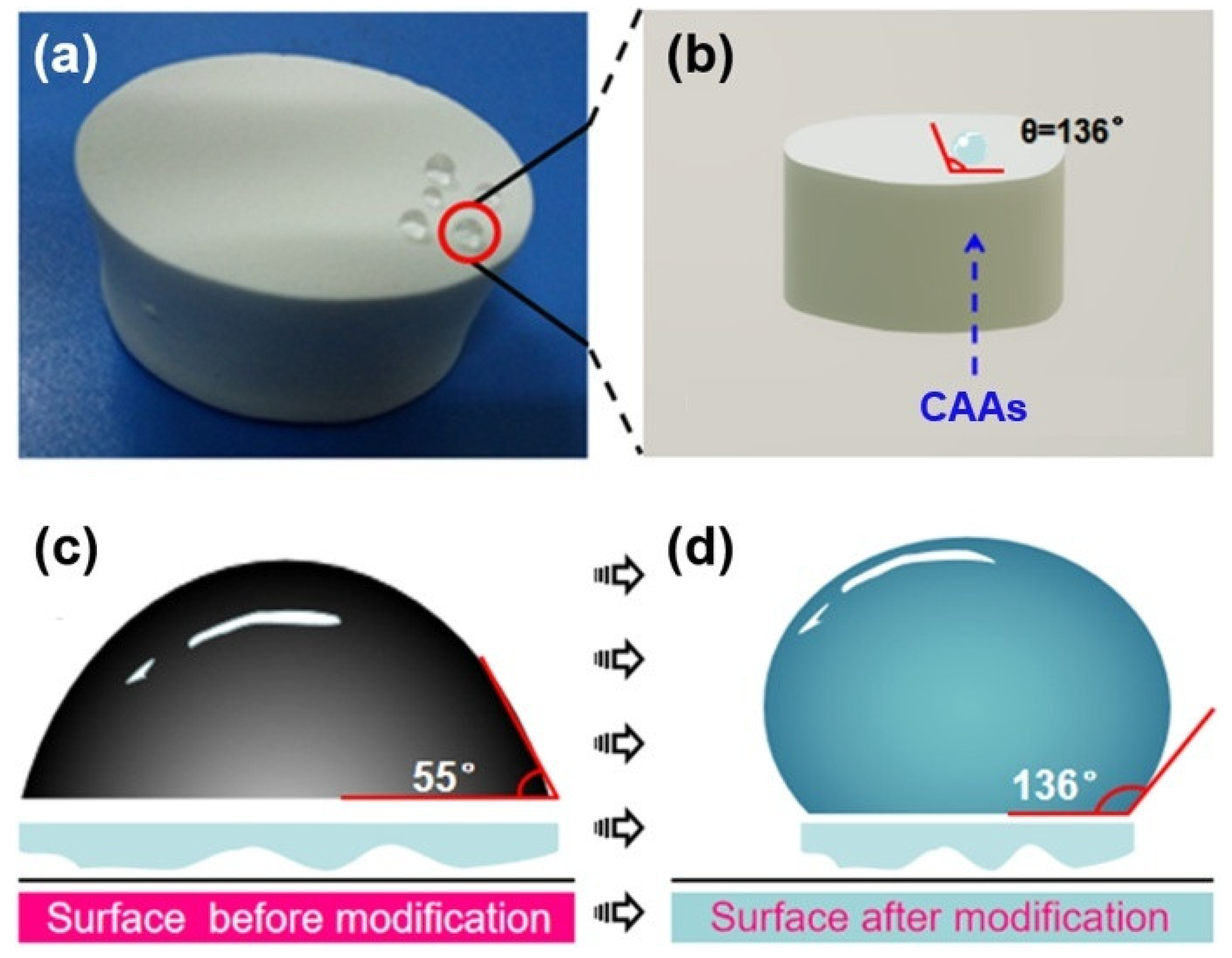 Gels 08 00671 g004 Gels 08 00671 g004