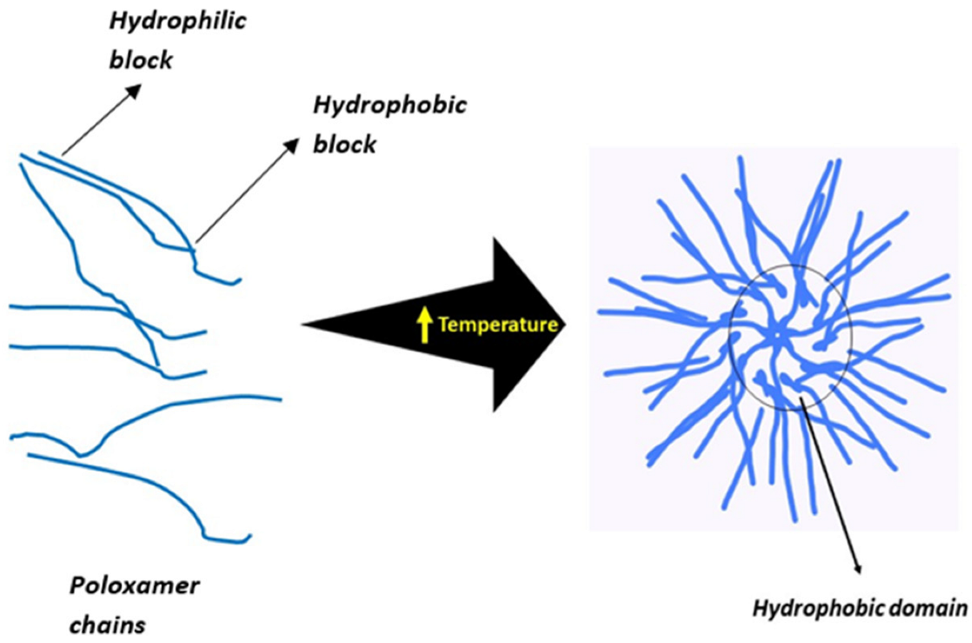 Gels 08 00723 g003 Gels 08 00723 g003